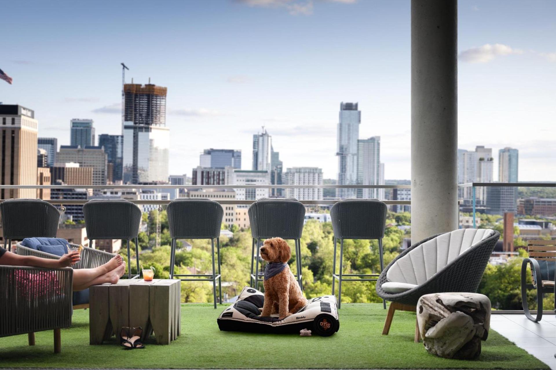 AC Hotel by Marriott Austin-University photo 30