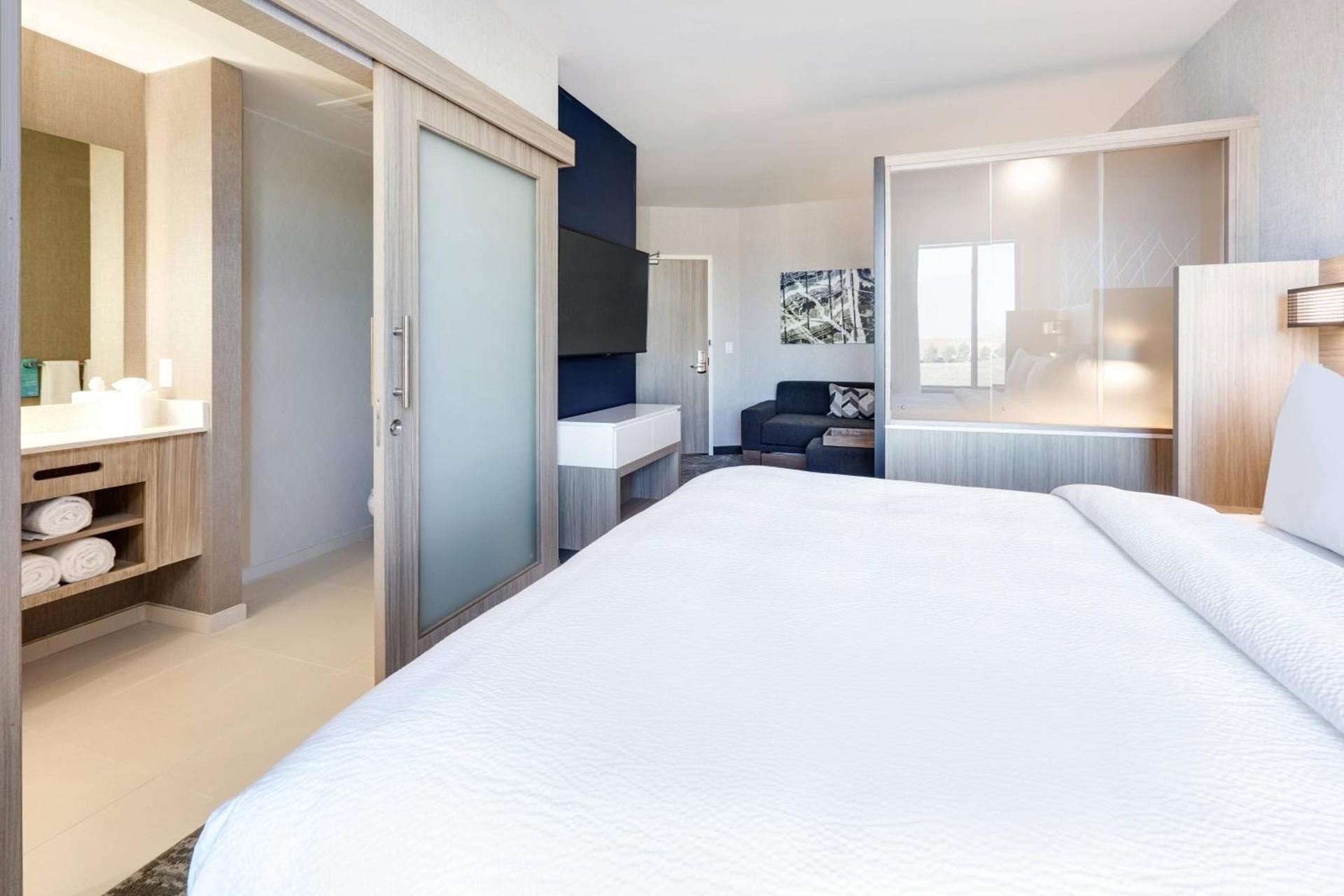 SpringHill Suites by Marriott Dallas Mansfield photo 12