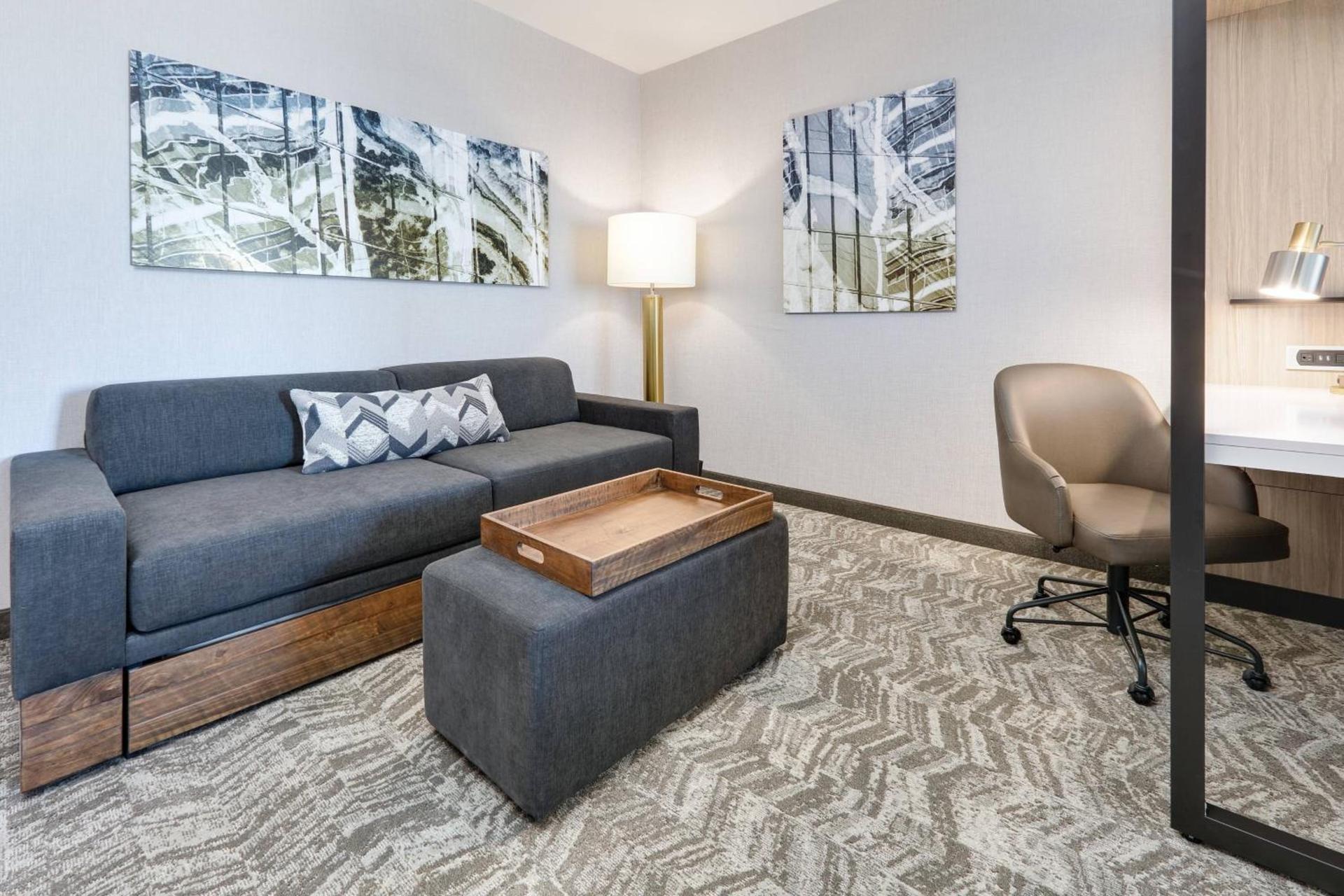 SpringHill Suites by Marriott Dallas Mansfield photo 10