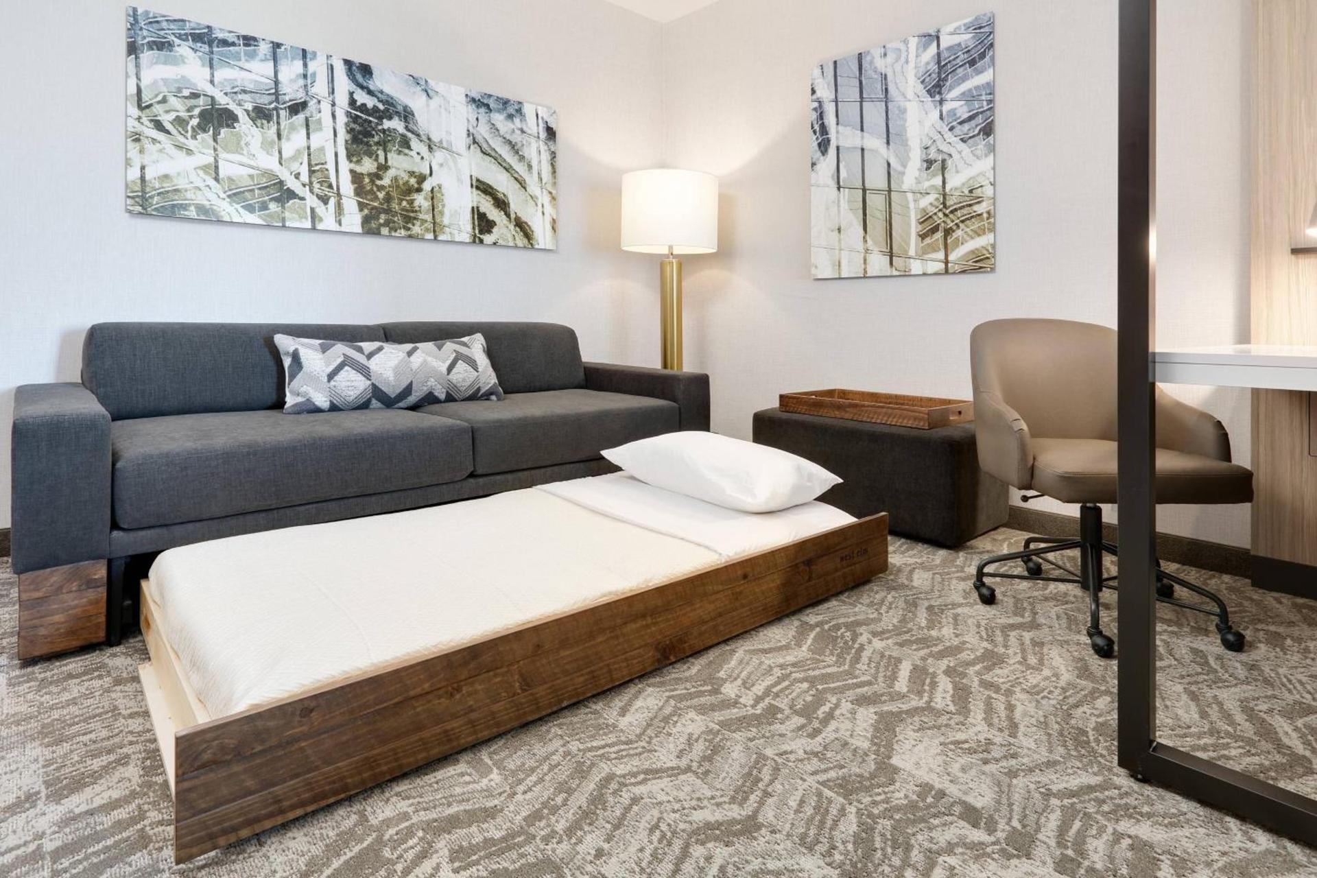 SpringHill Suites by Marriott Dallas Mansfield photo 13