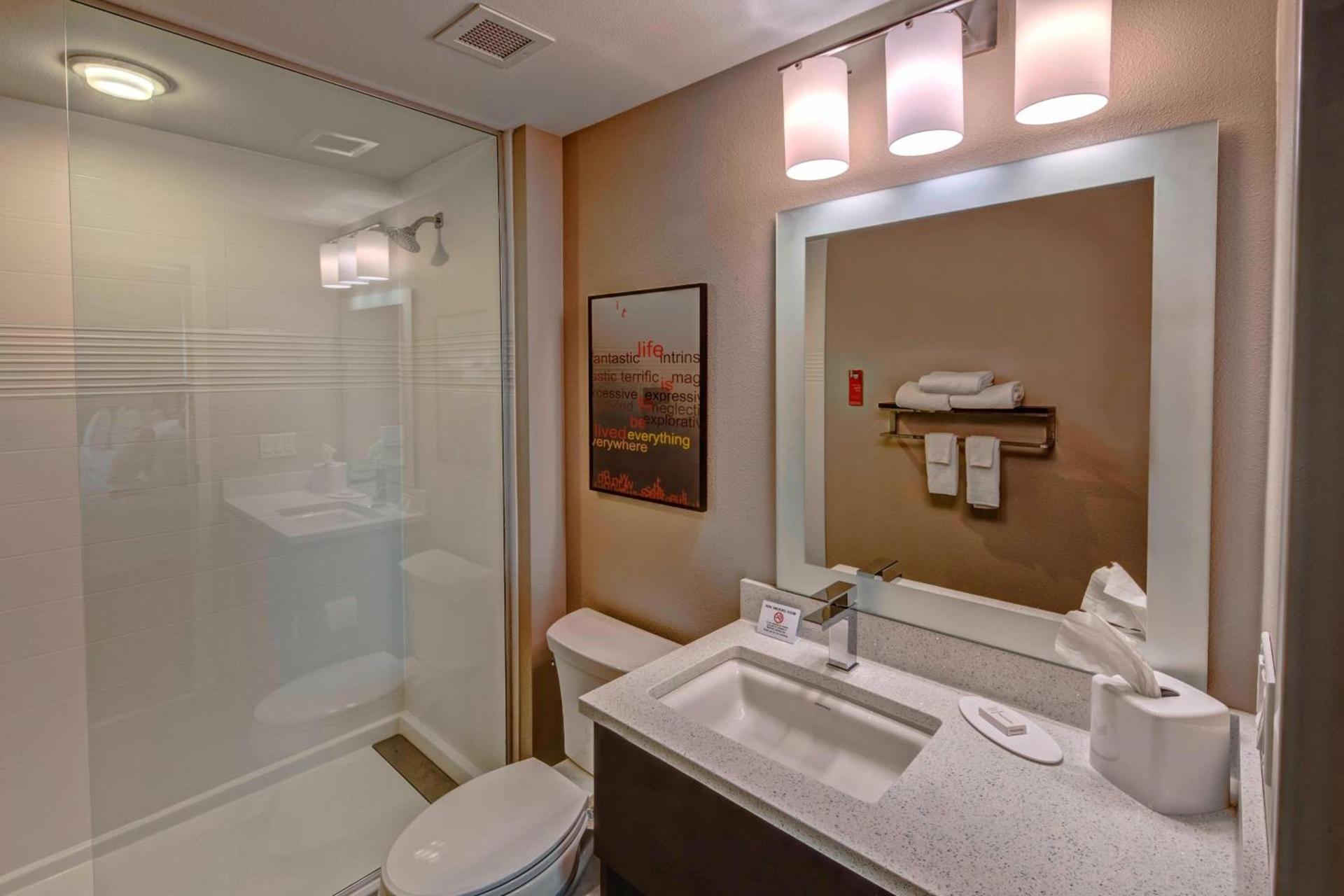 TownePlace Suites by Marriott Hot Springs photo 15