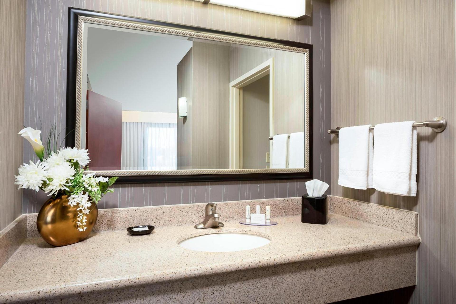 Courtyard by Marriott Columbia photo 7