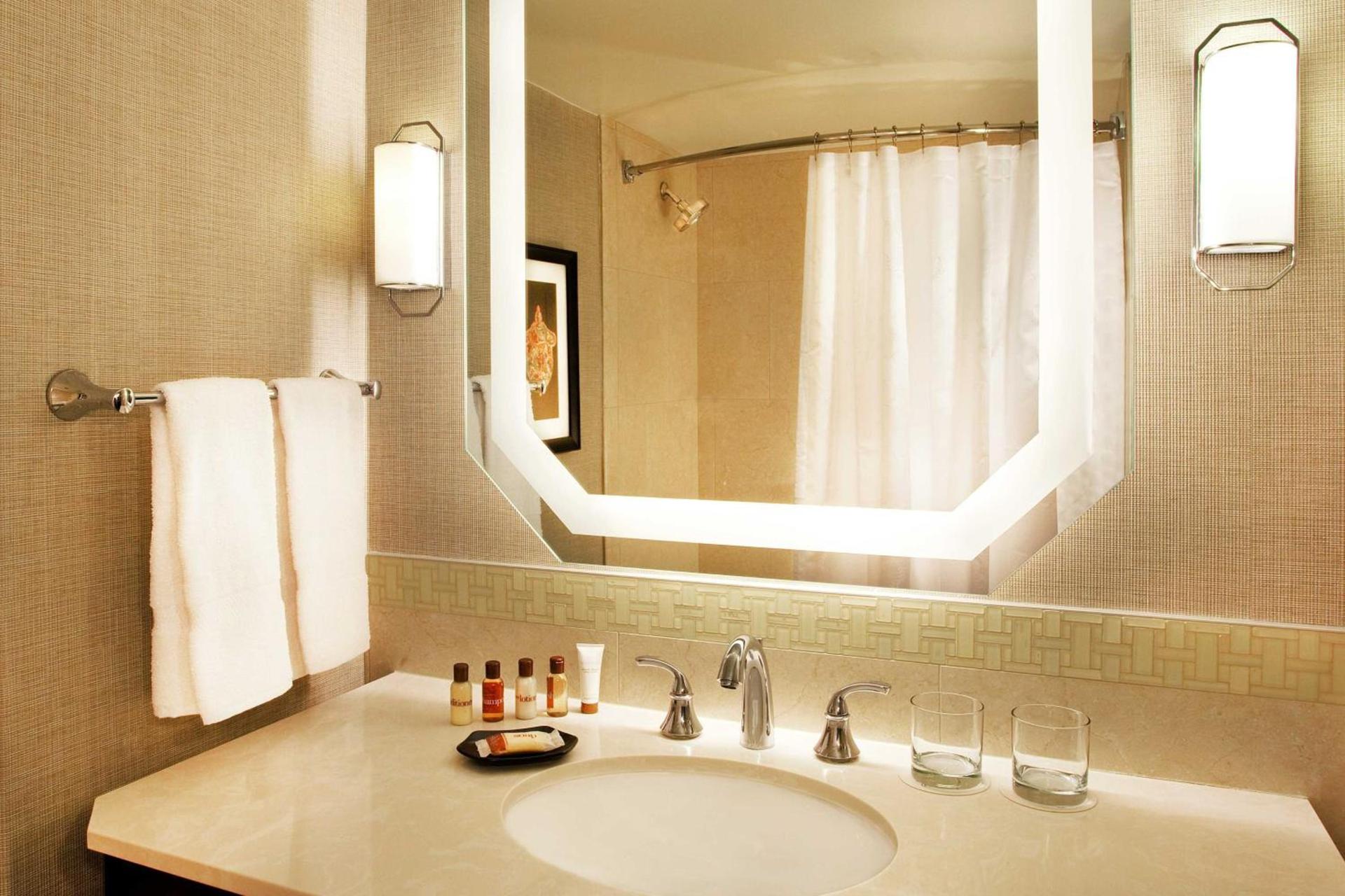 Sheraton New Orleans Hotel photo 18