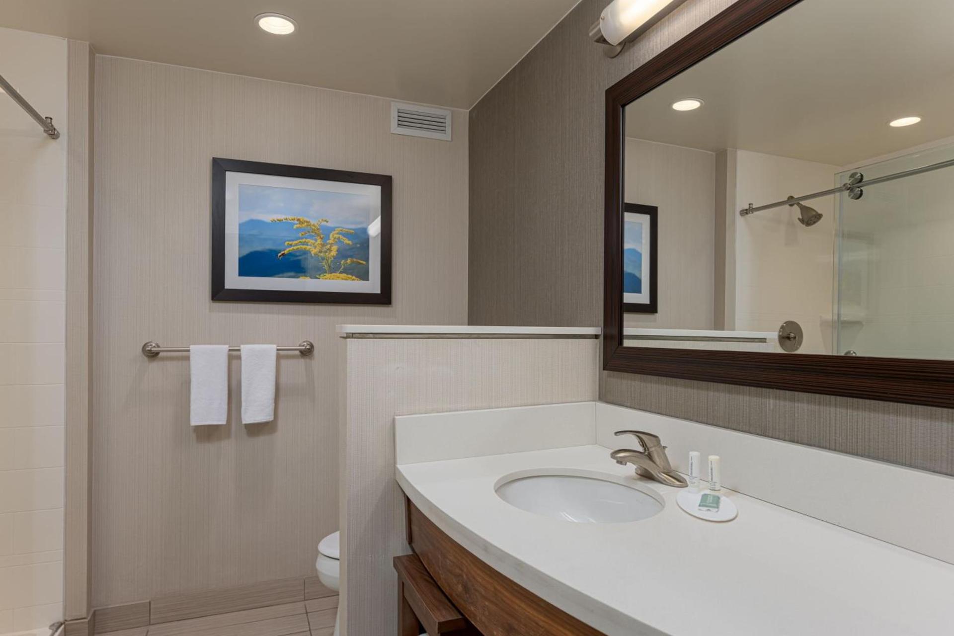 Courtyard by Marriott Asheville Airport photo 22