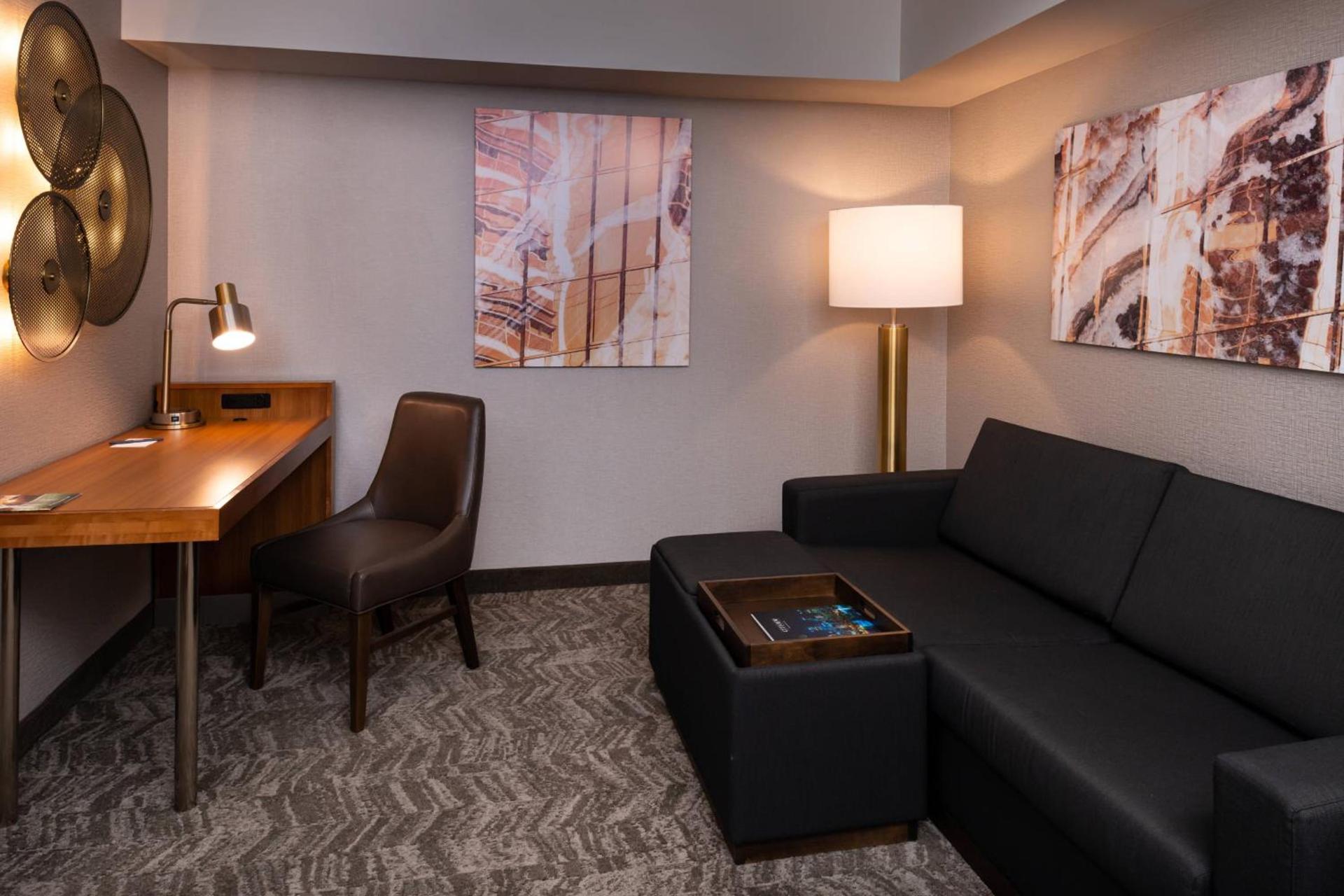 SpringHill Suites by Marriott Pittsburgh North Shore photo 42