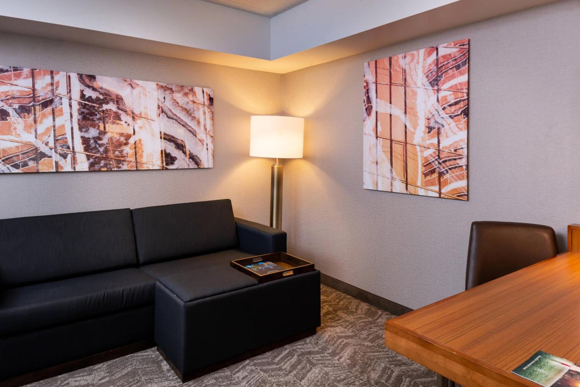 SpringHill Suites by Marriott Pittsburgh North Shore photo 6