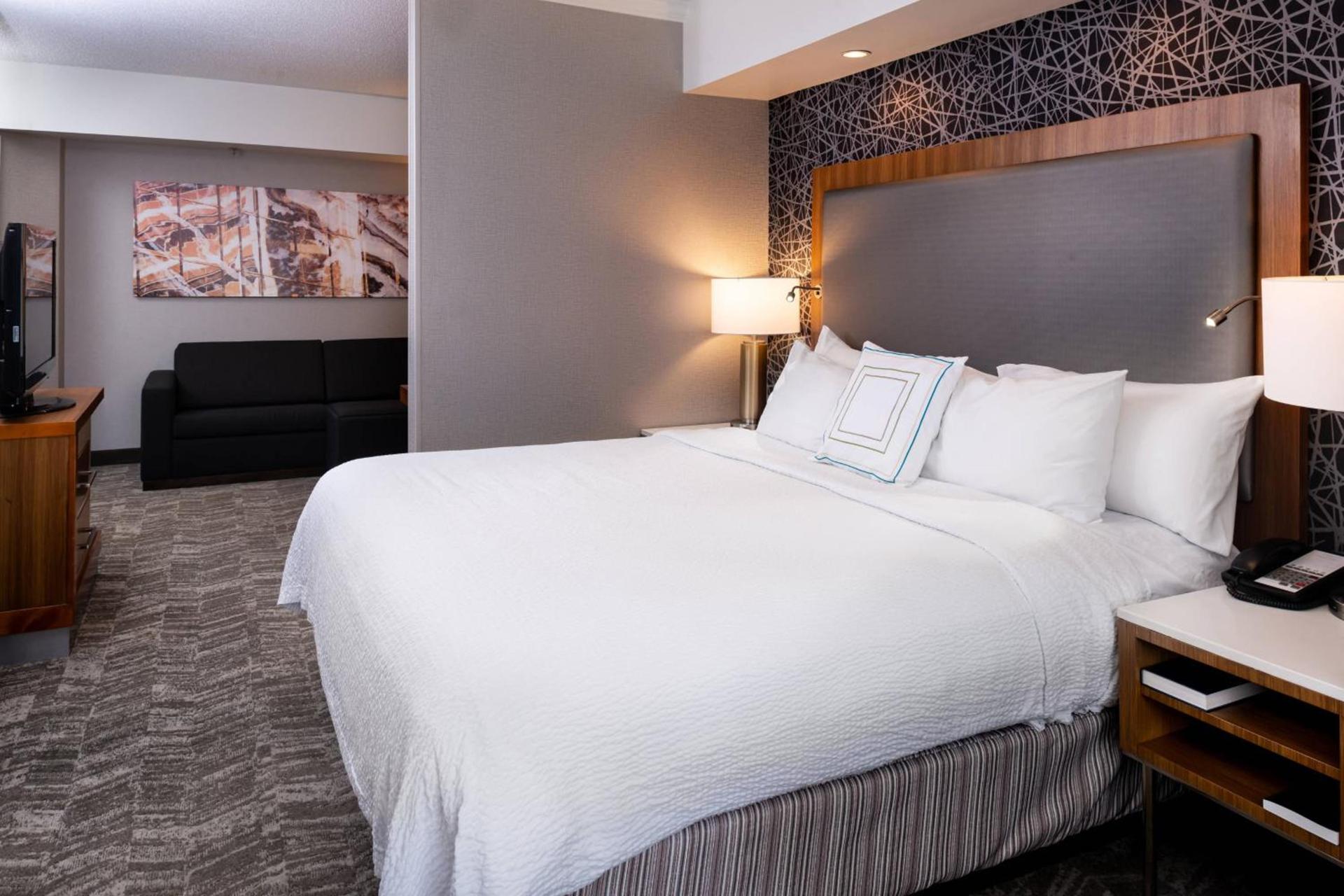 SpringHill Suites by Marriott Pittsburgh North Shore photo 7