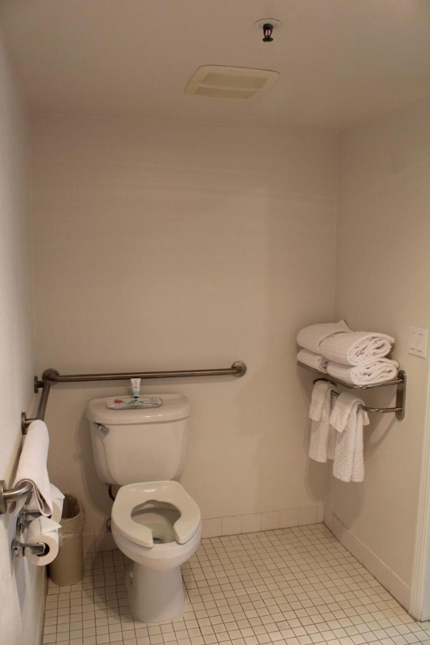 Elm House Inn photo 42