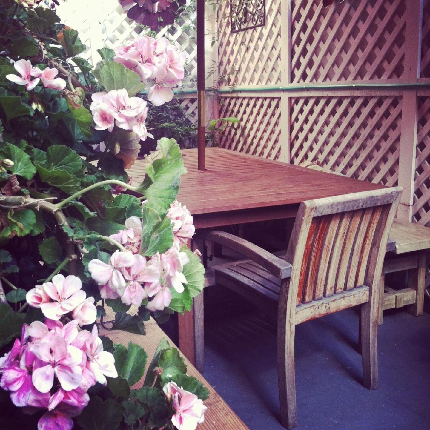 Adelaide Hostel photo 6