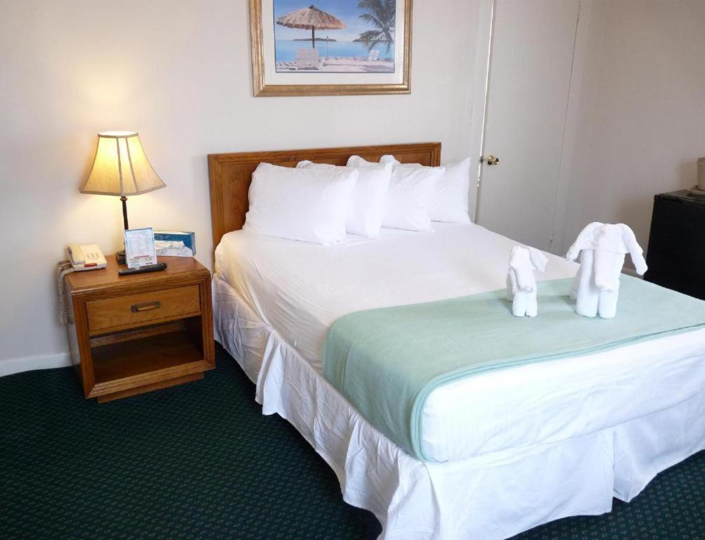 فندق زوار البيت zuwar albait hotel photo 4