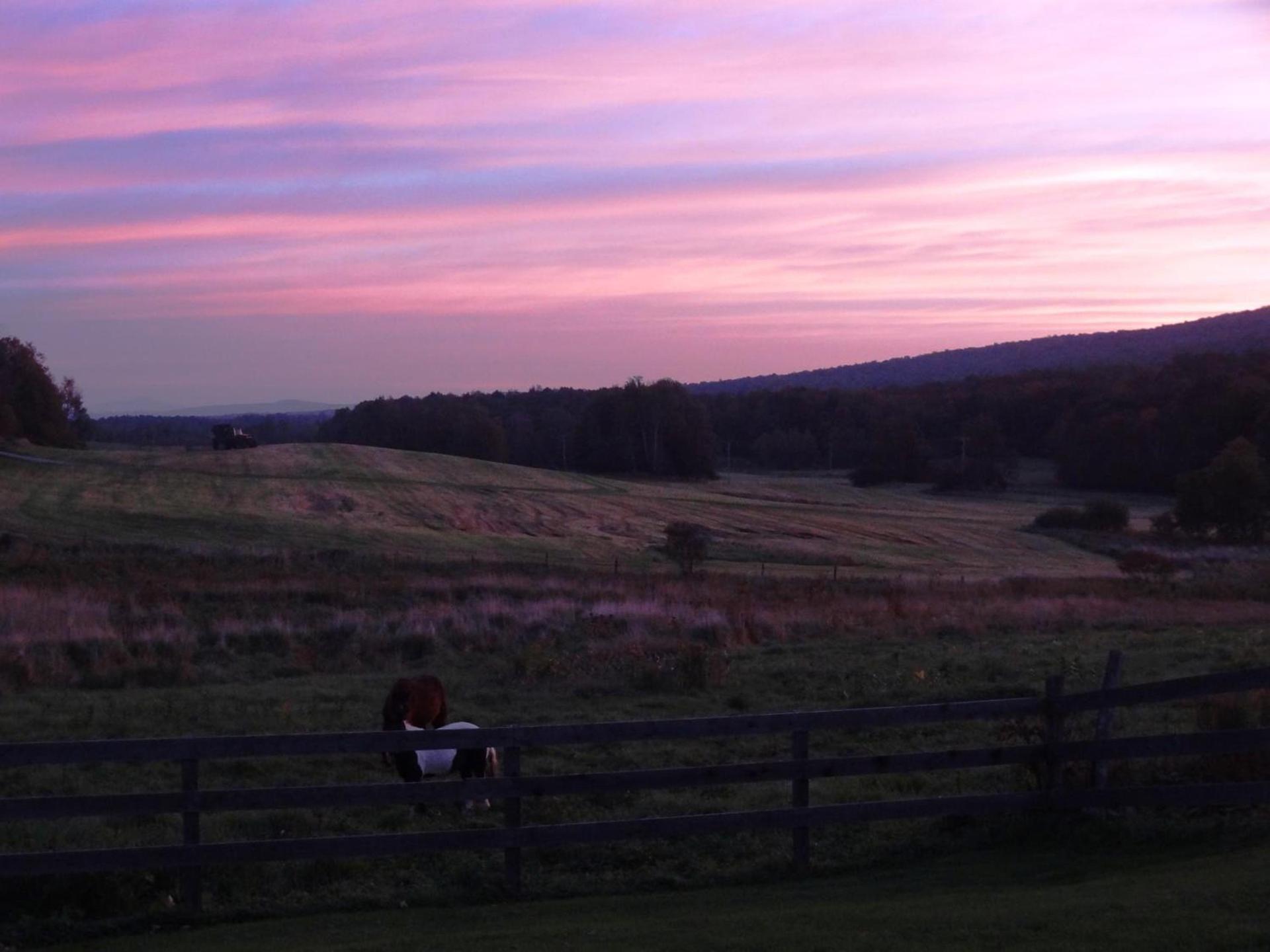 Inn at Buck Hollow Farm photo 2