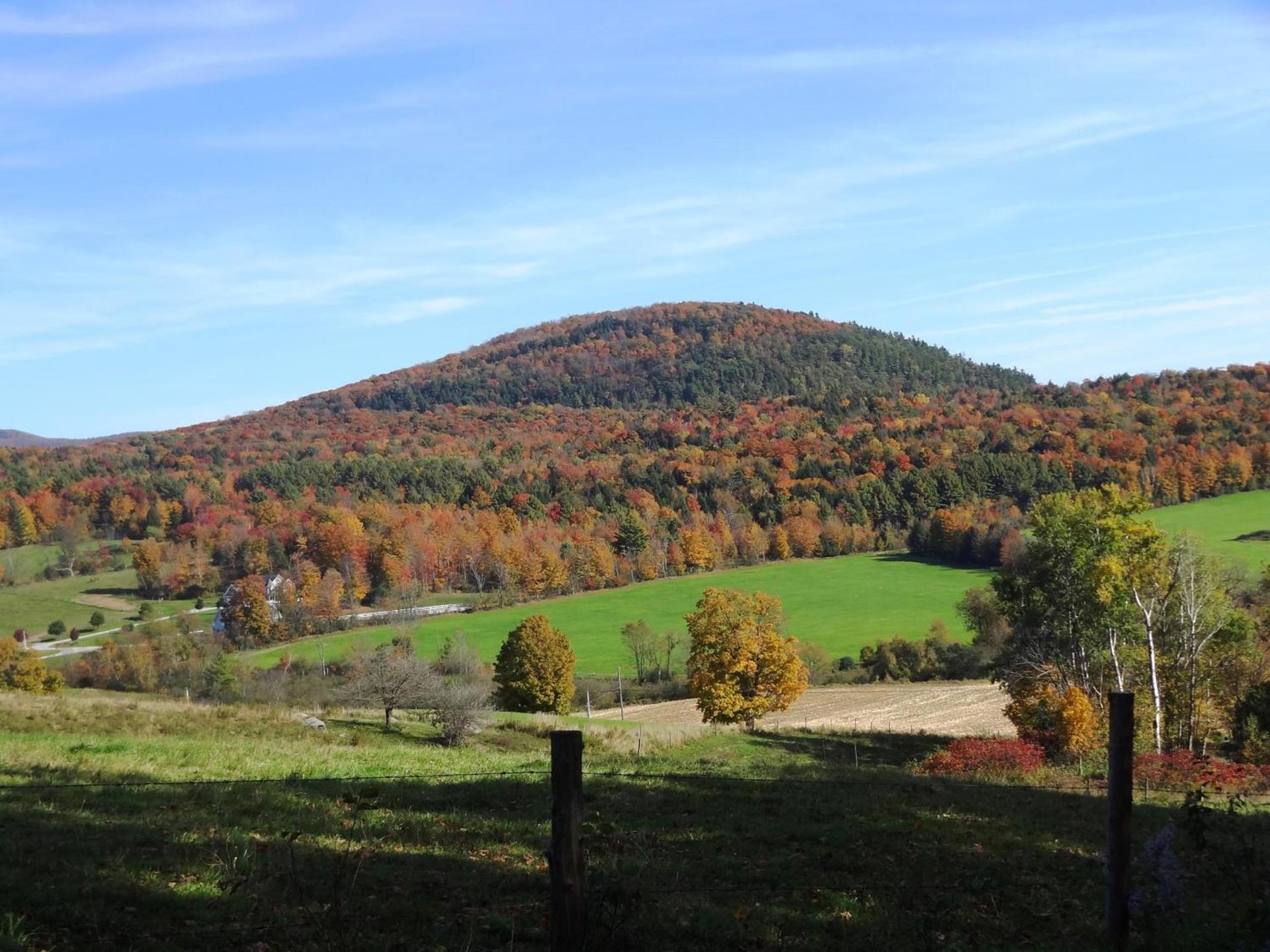 Inn at Buck Hollow Farm photo 4