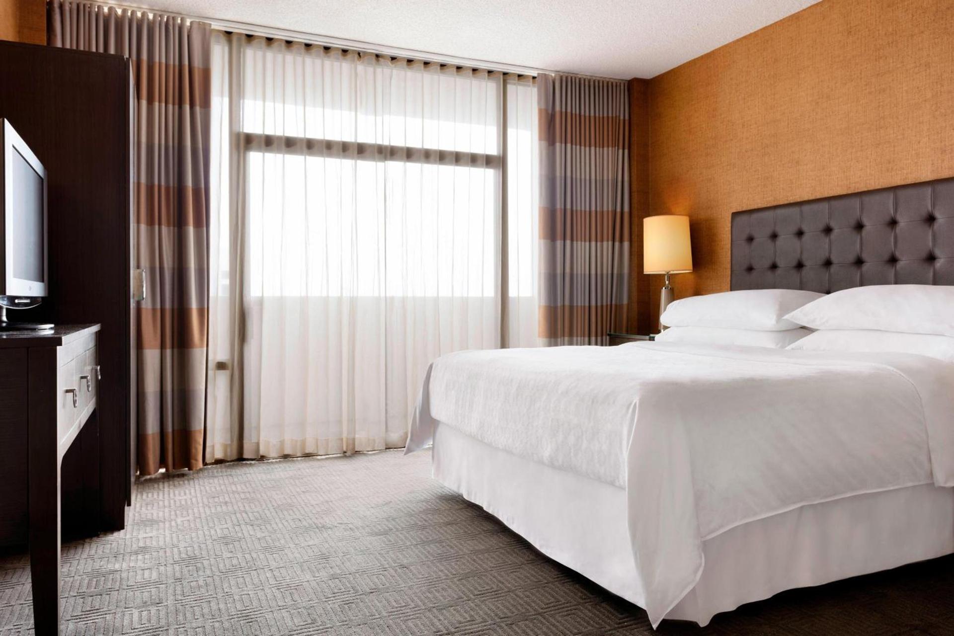 Sheraton Charlotte Hotel photo 16