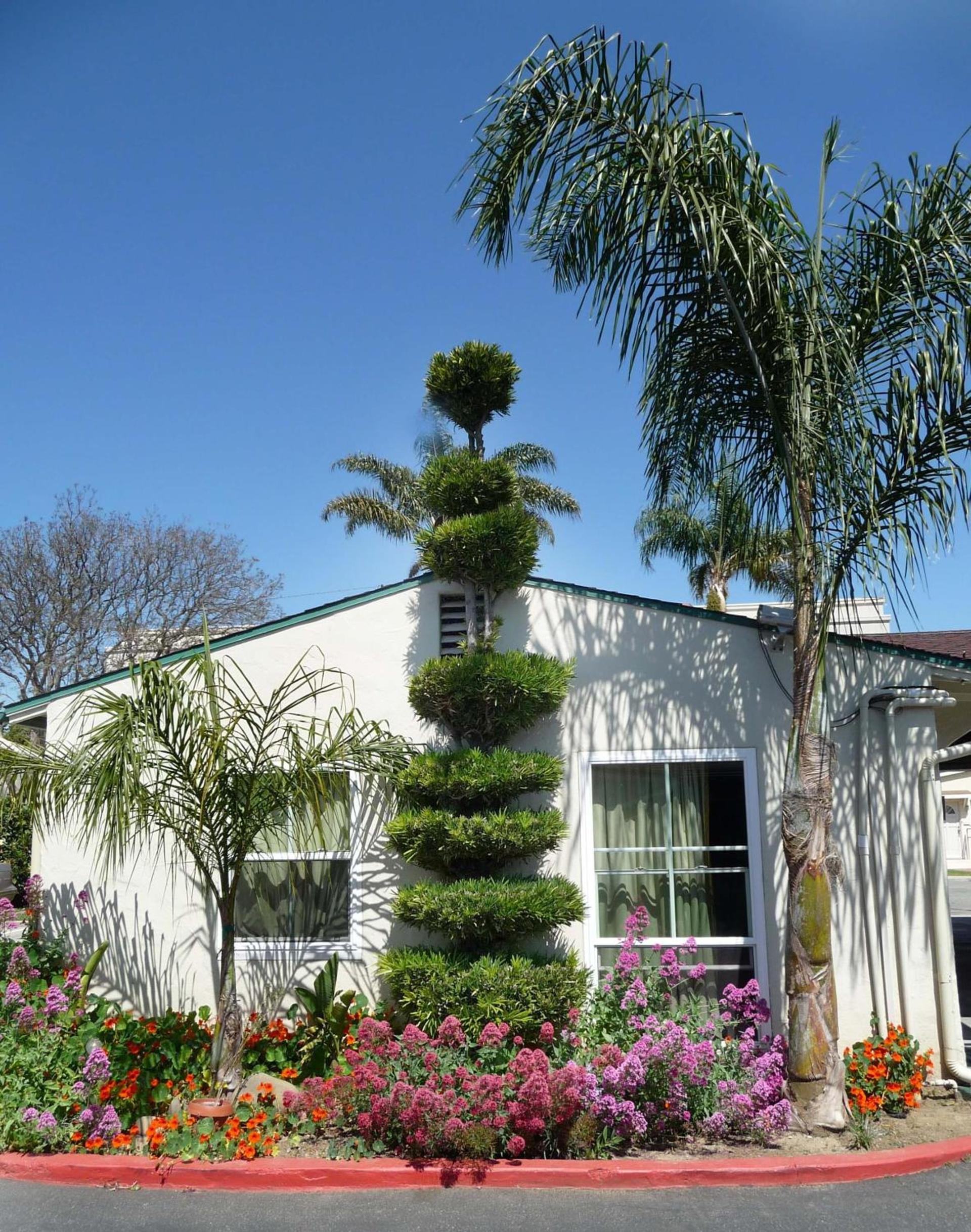 Mission Bell Motel photo 1