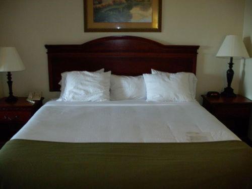 Holiday Inn Express Hotel & Suites Laurinburg by IHG photo 5