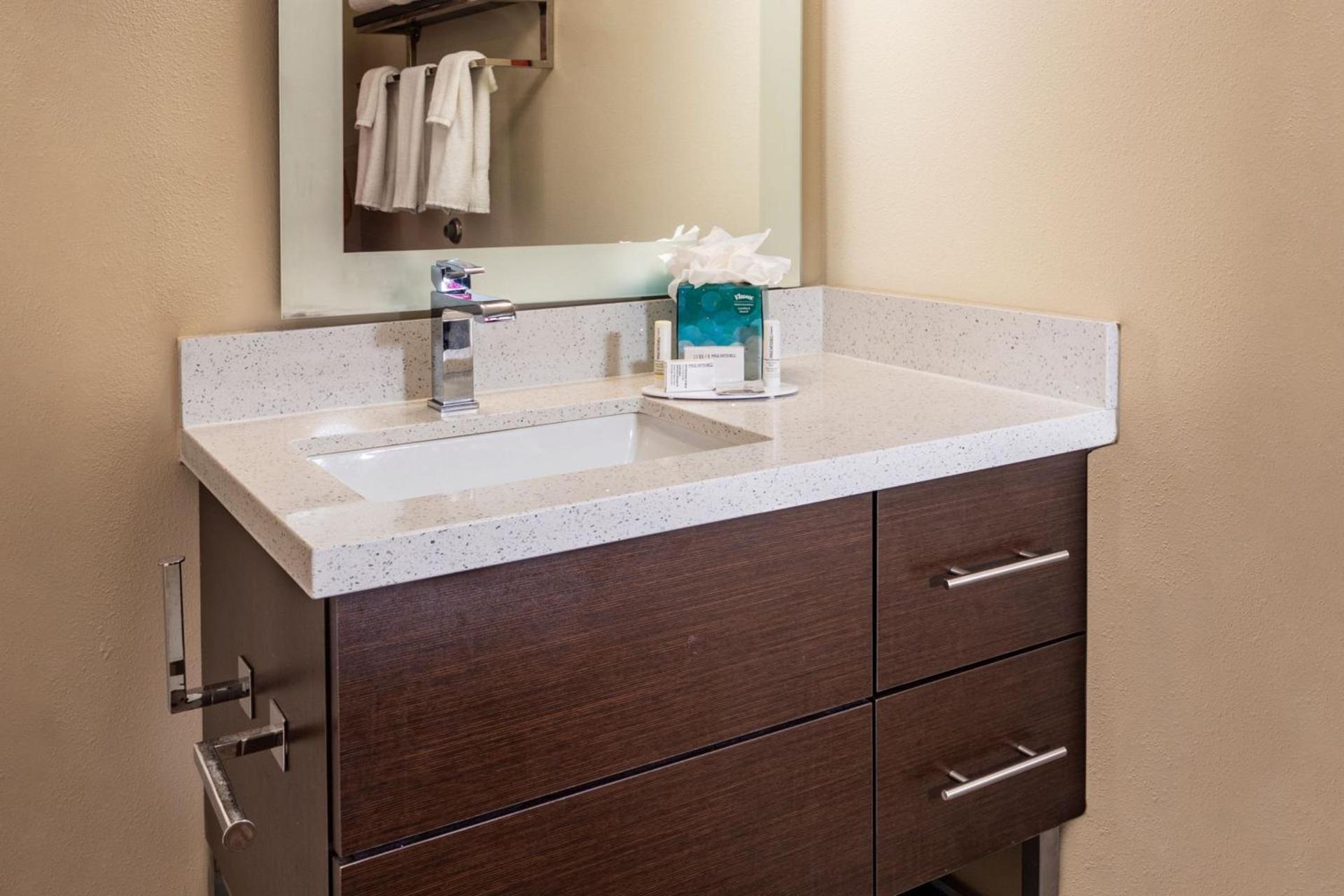 TownePlace Suites by Marriott Fort Mill at Carowinds Blvd photo 12