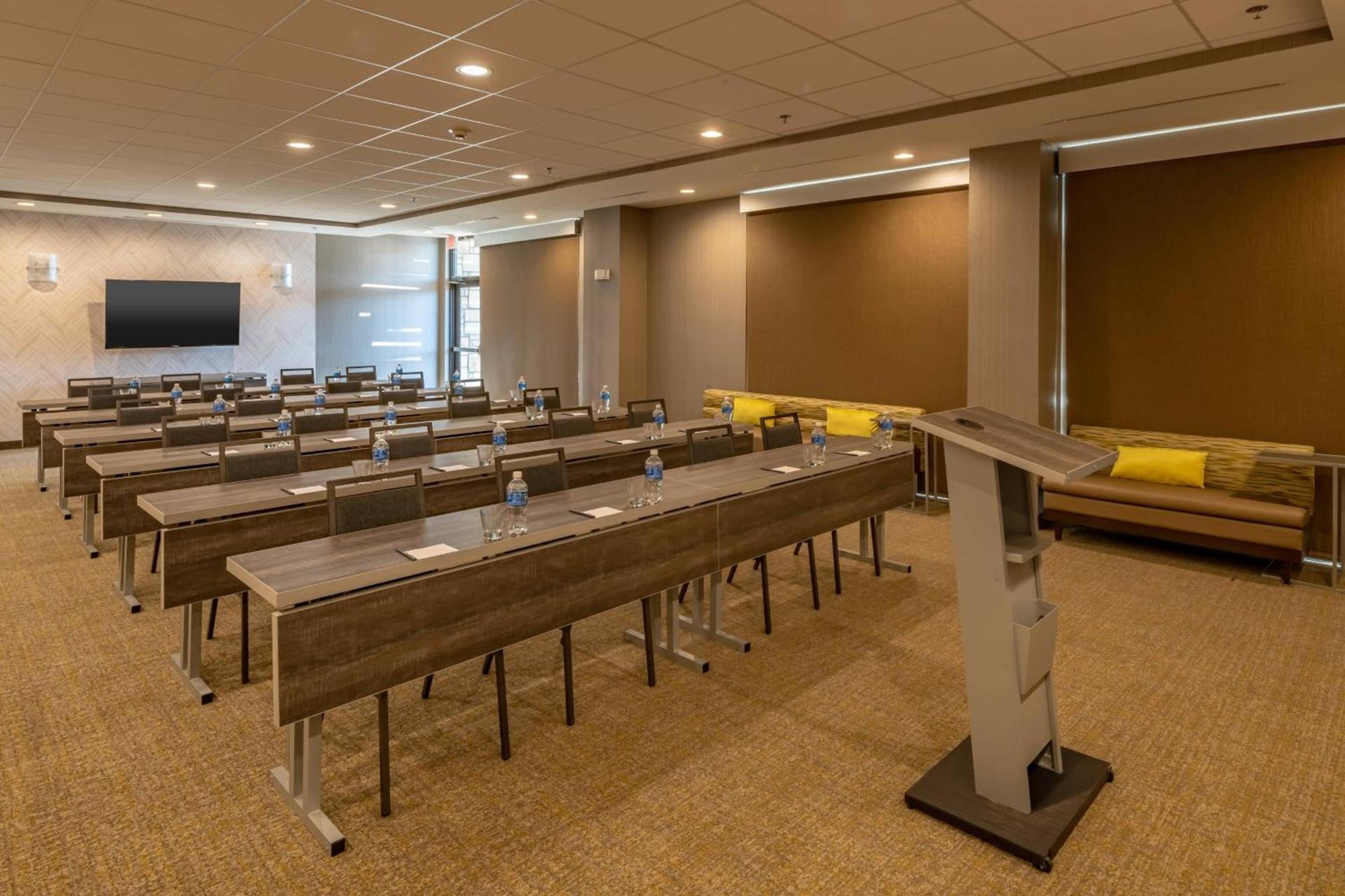 SpringHill Suites by Marriott Dallas McKinney photo 21