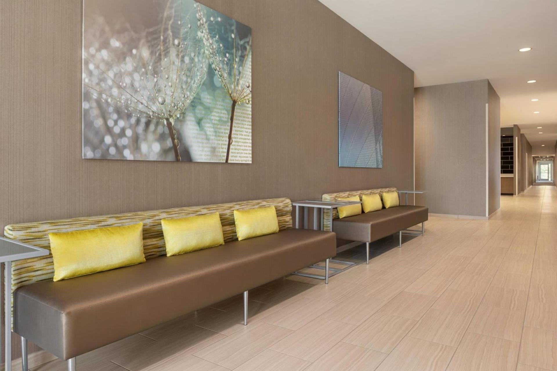 SpringHill Suites by Marriott Milwaukee West/Wauwatosa photo 33