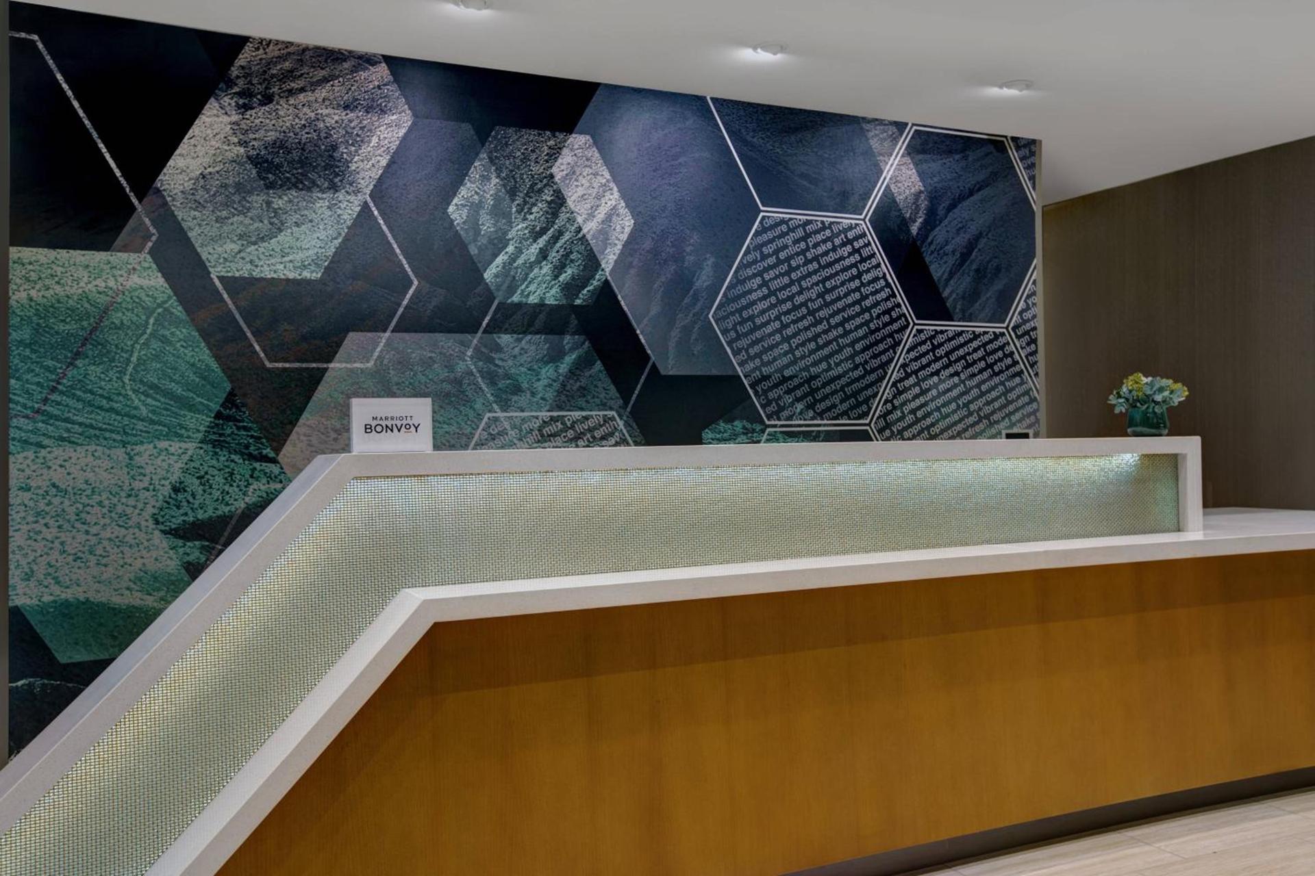 SpringHill Suites by Marriott Franklin Cool Springs photo 21
