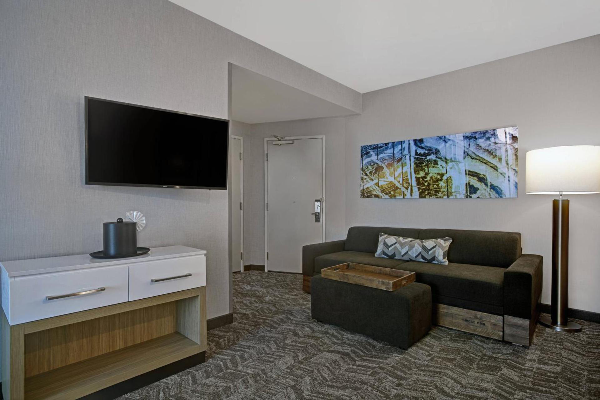 SpringHill Suites by Marriott Franklin Cool Springs photo 29