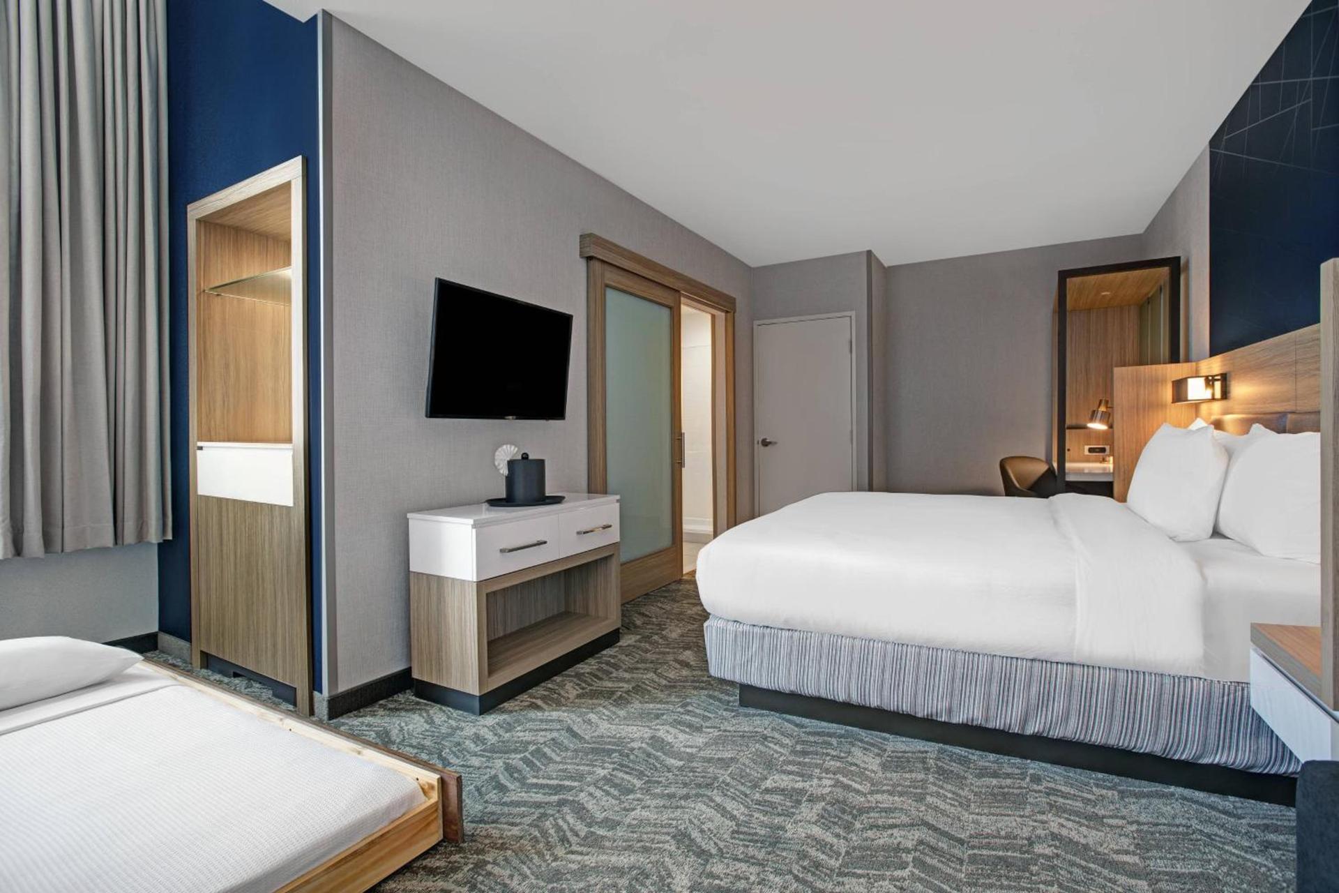 SpringHill Suites by Marriott Franklin Cool Springs photo 32