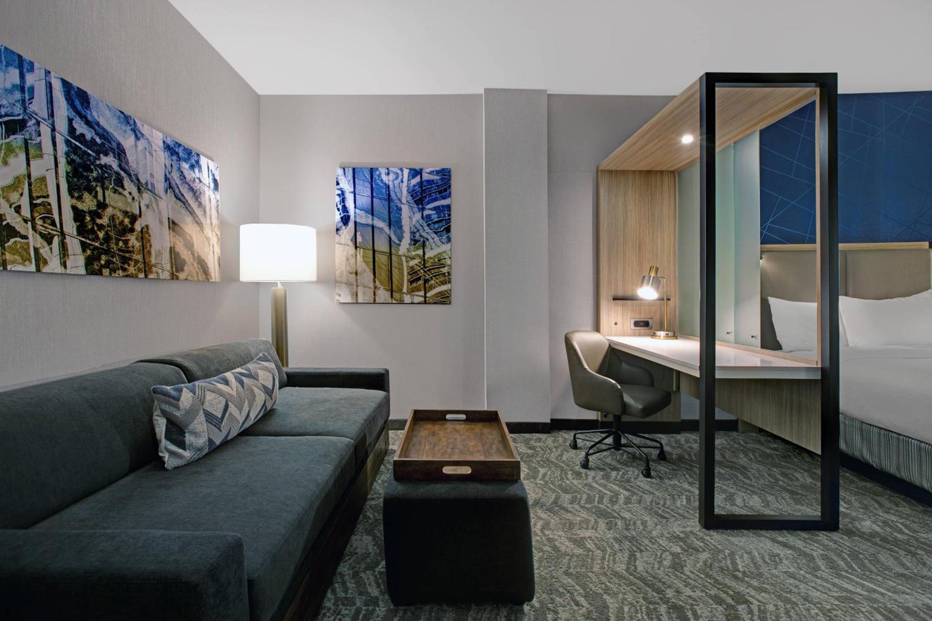 SpringHill Suites by Marriott Franklin Cool Springs photo 28