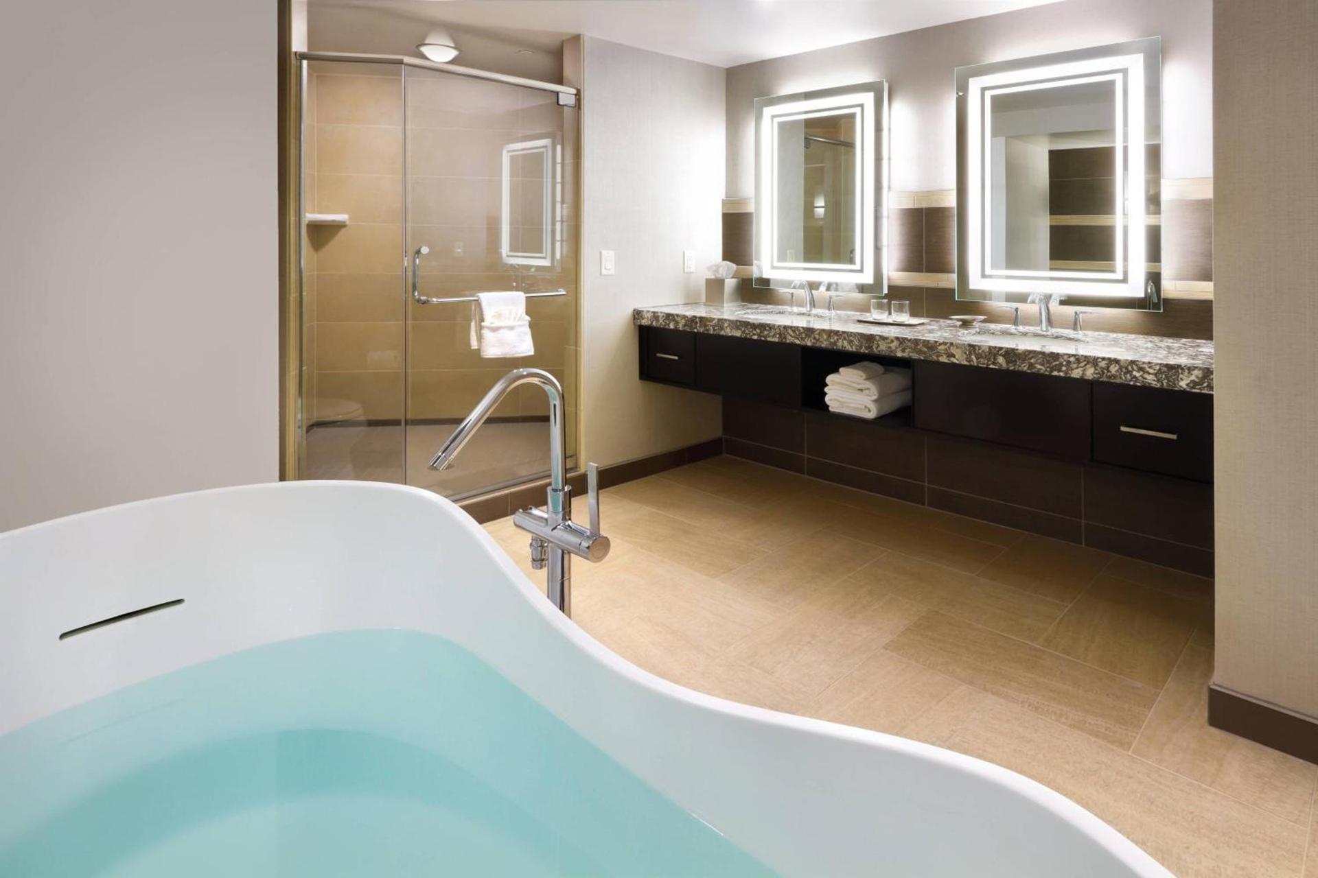 South Sioux City Marriott Riverfront photo 42