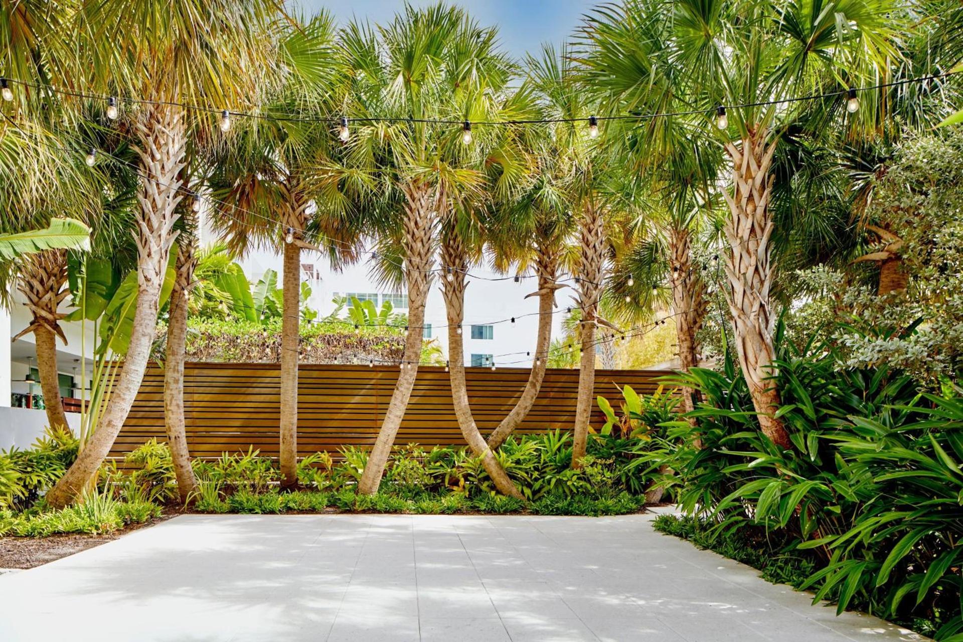 The Sarasota Modern, a Tribute Portfolio Hotel photo 35