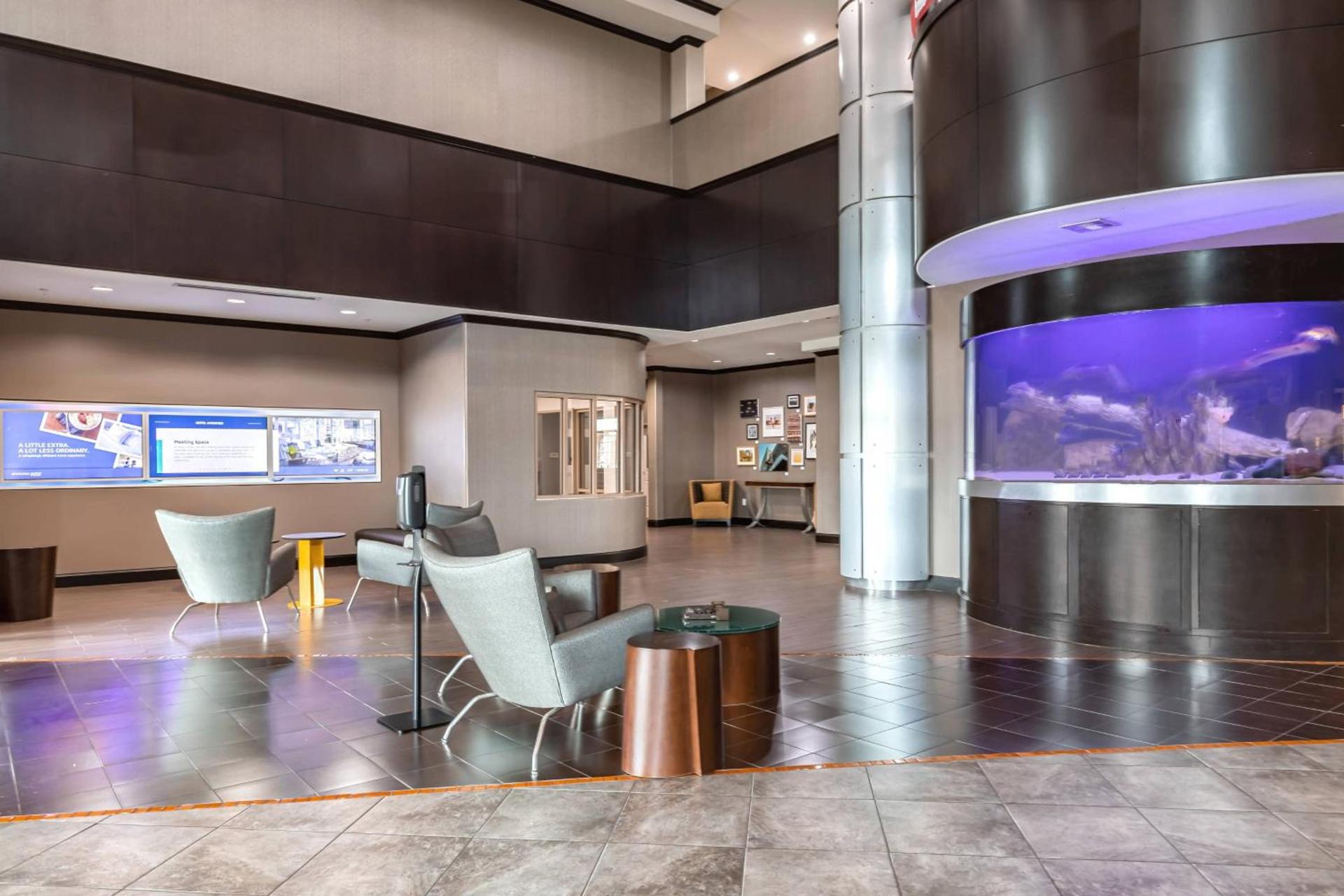 SpringHill Suites by Marriott Waco Woodway photo 33