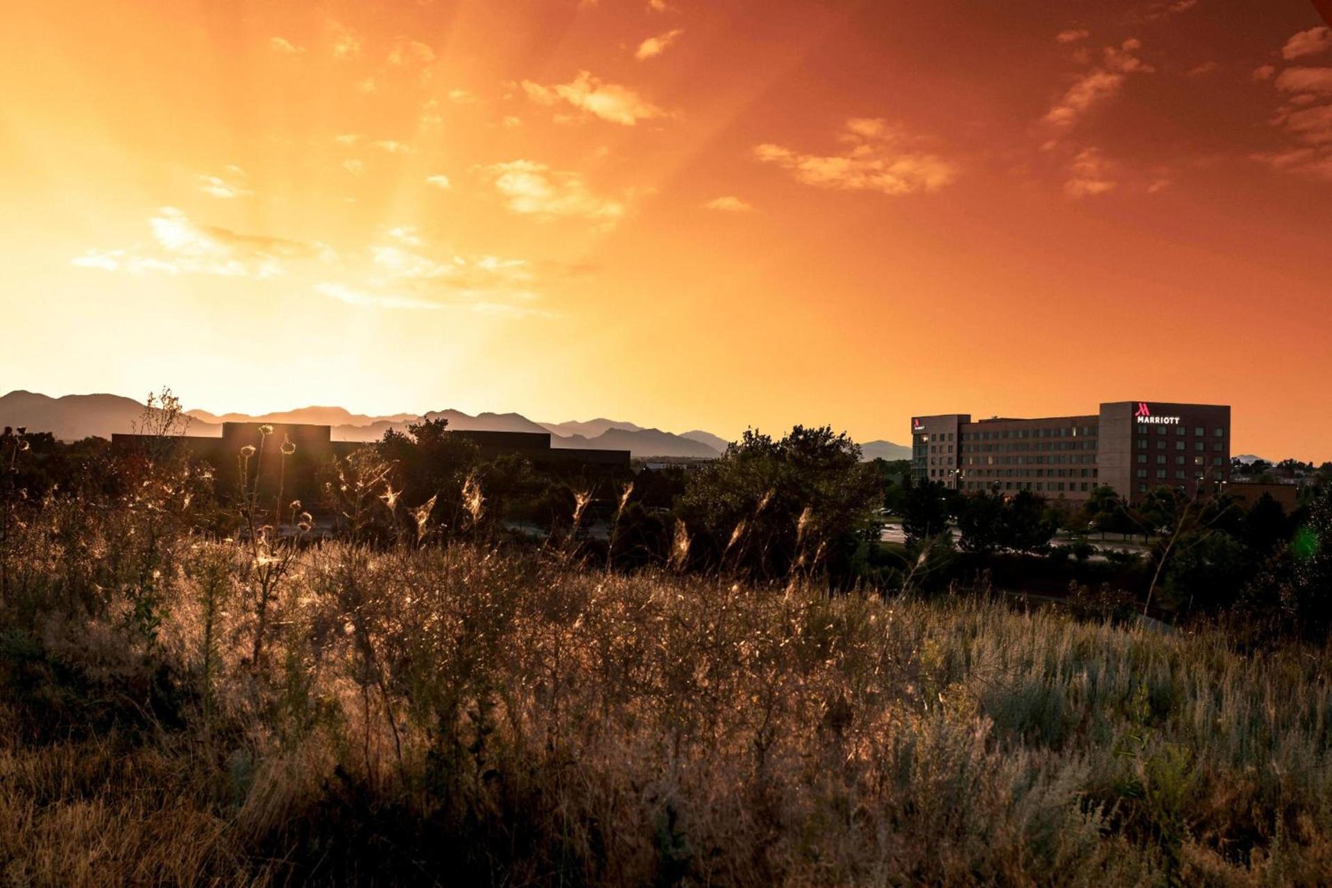 Denver Marriott Westminster photo 2