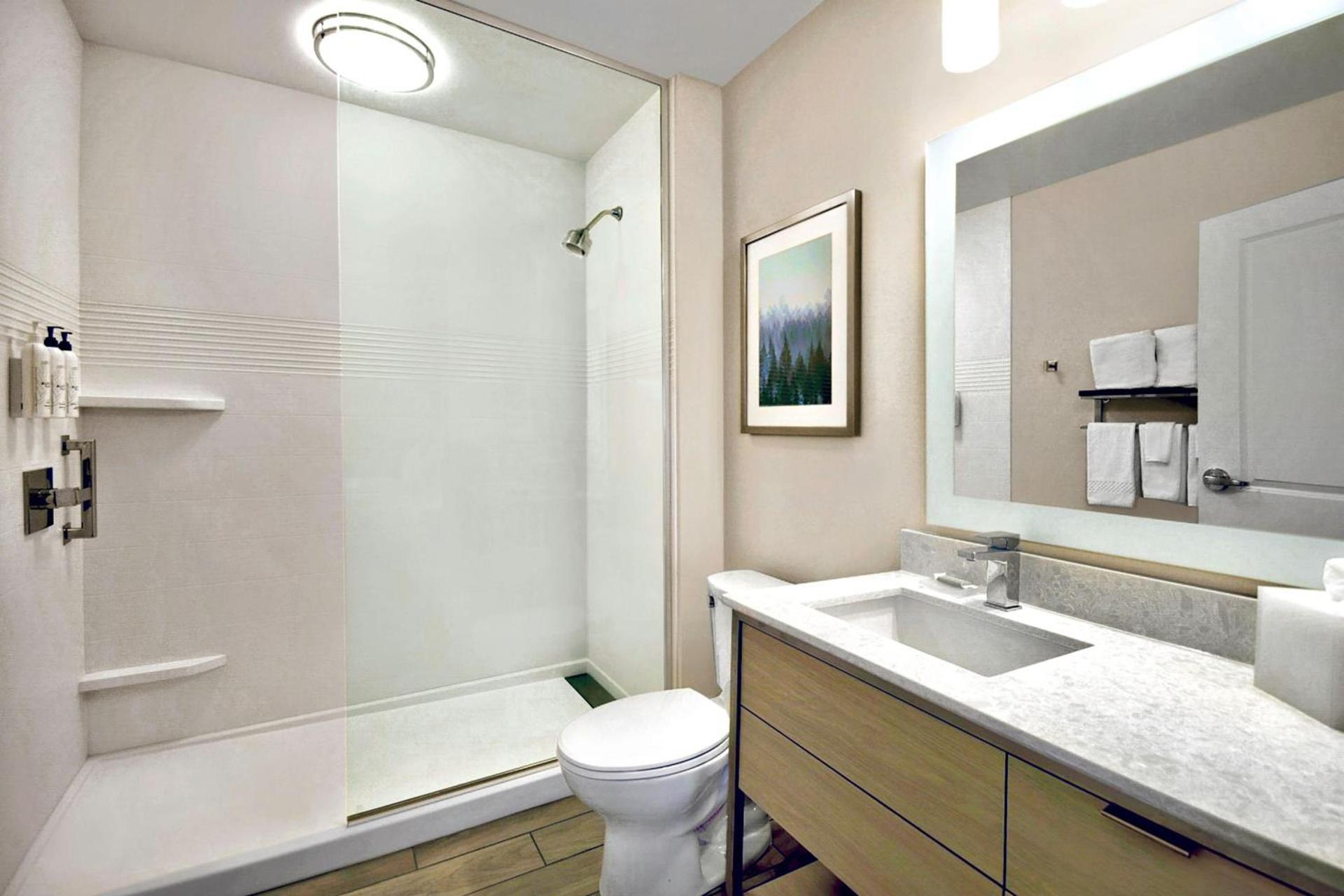 TownePlace Suites by Marriott Asheville West photo 20
