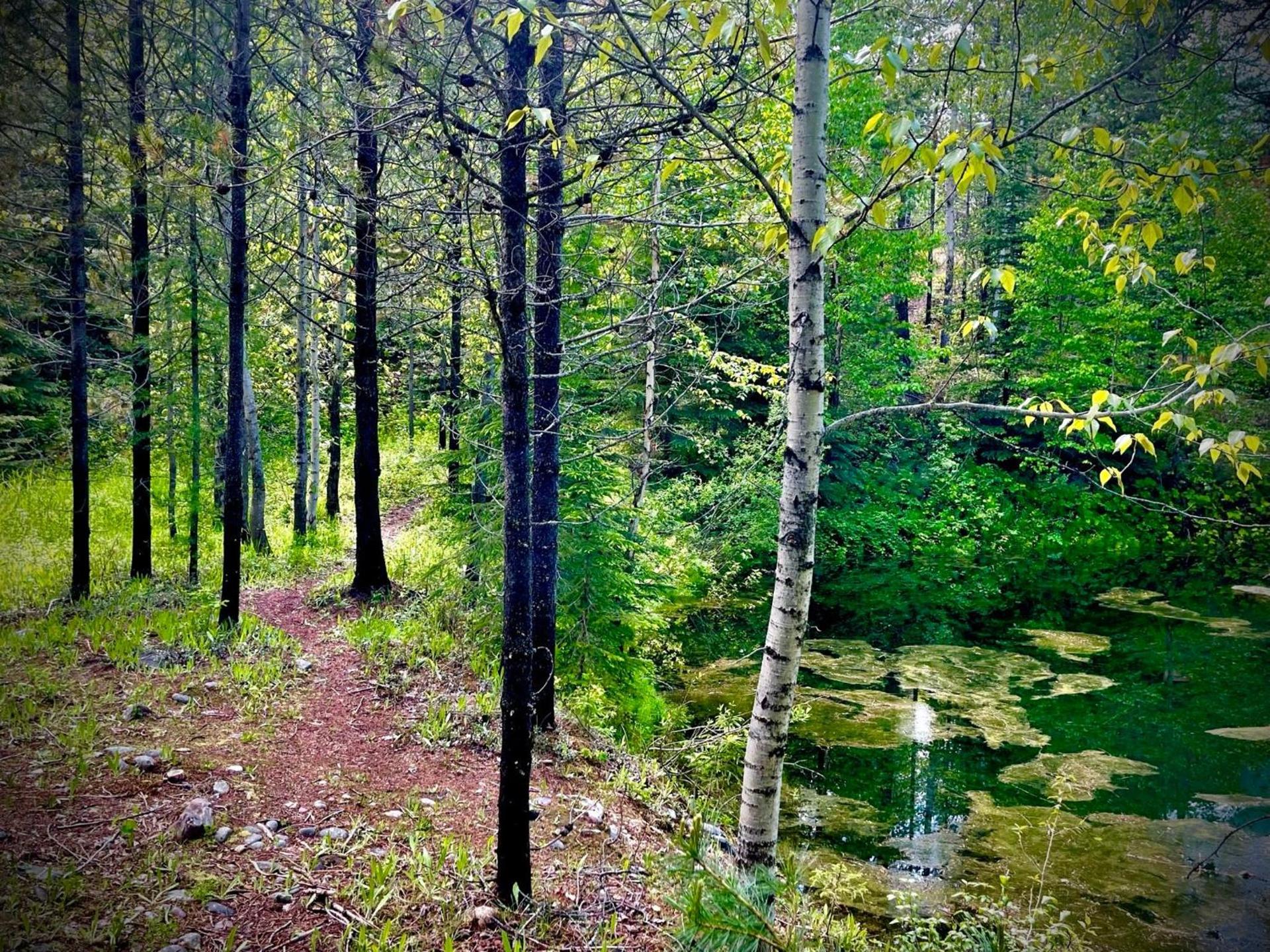 Moss Mountain Inn photo 30
