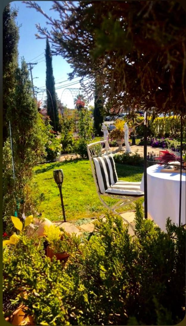 Chardonnay Lodge photo 100