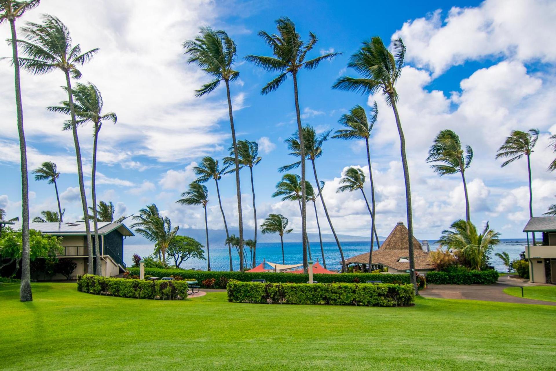 Napili Shores Maui by OUTRIGGER - No Resort & Housekeeping Fees photo 10