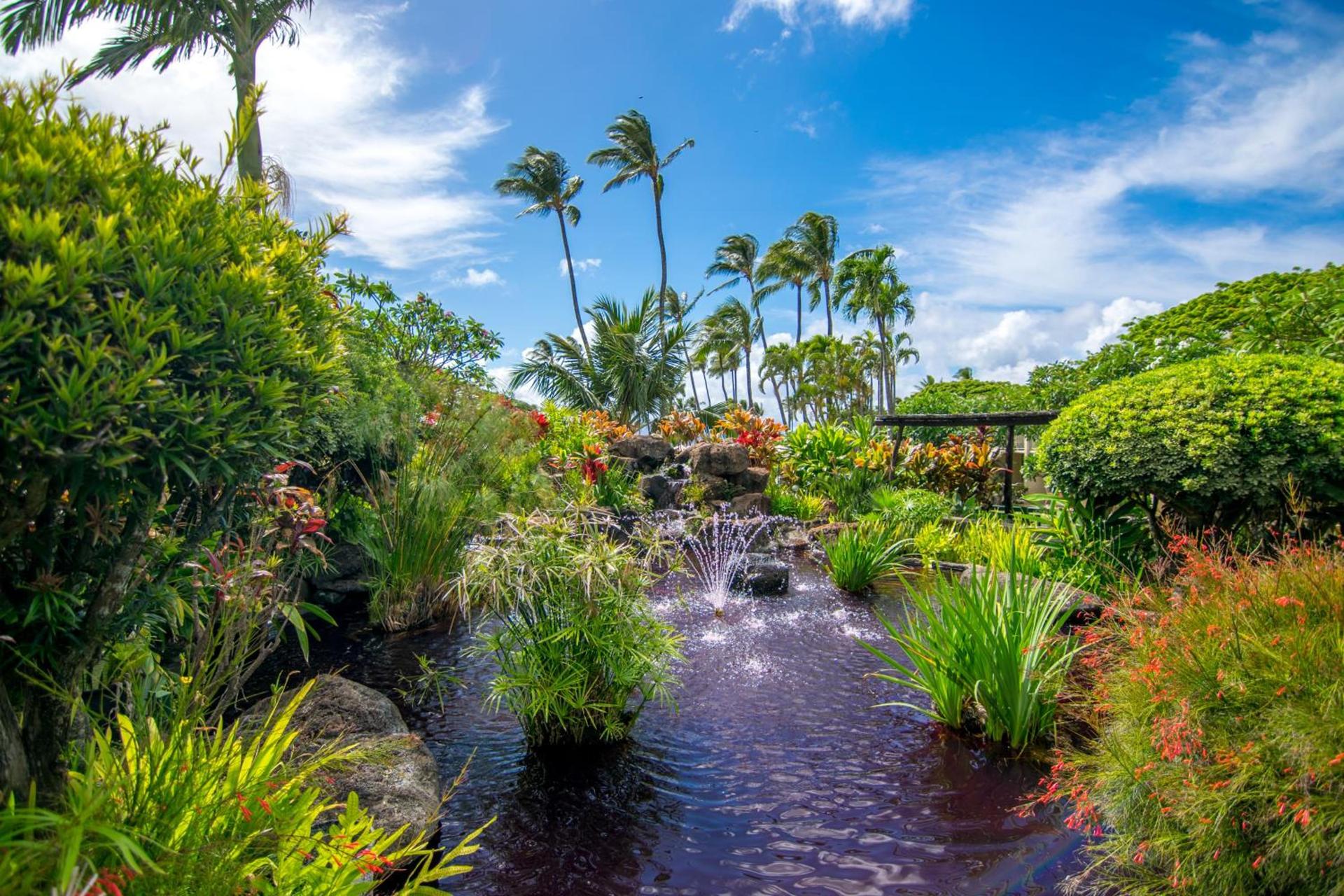 Napili Shores Maui by OUTRIGGER - No Resort & Housekeeping Fees photo 13