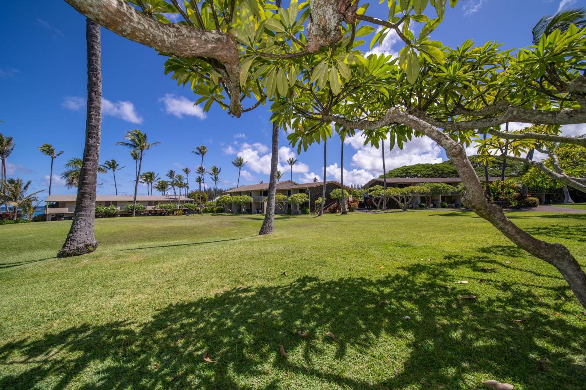 Napili Shores Maui by OUTRIGGER - No Resort & Housekeeping Fees photo 18