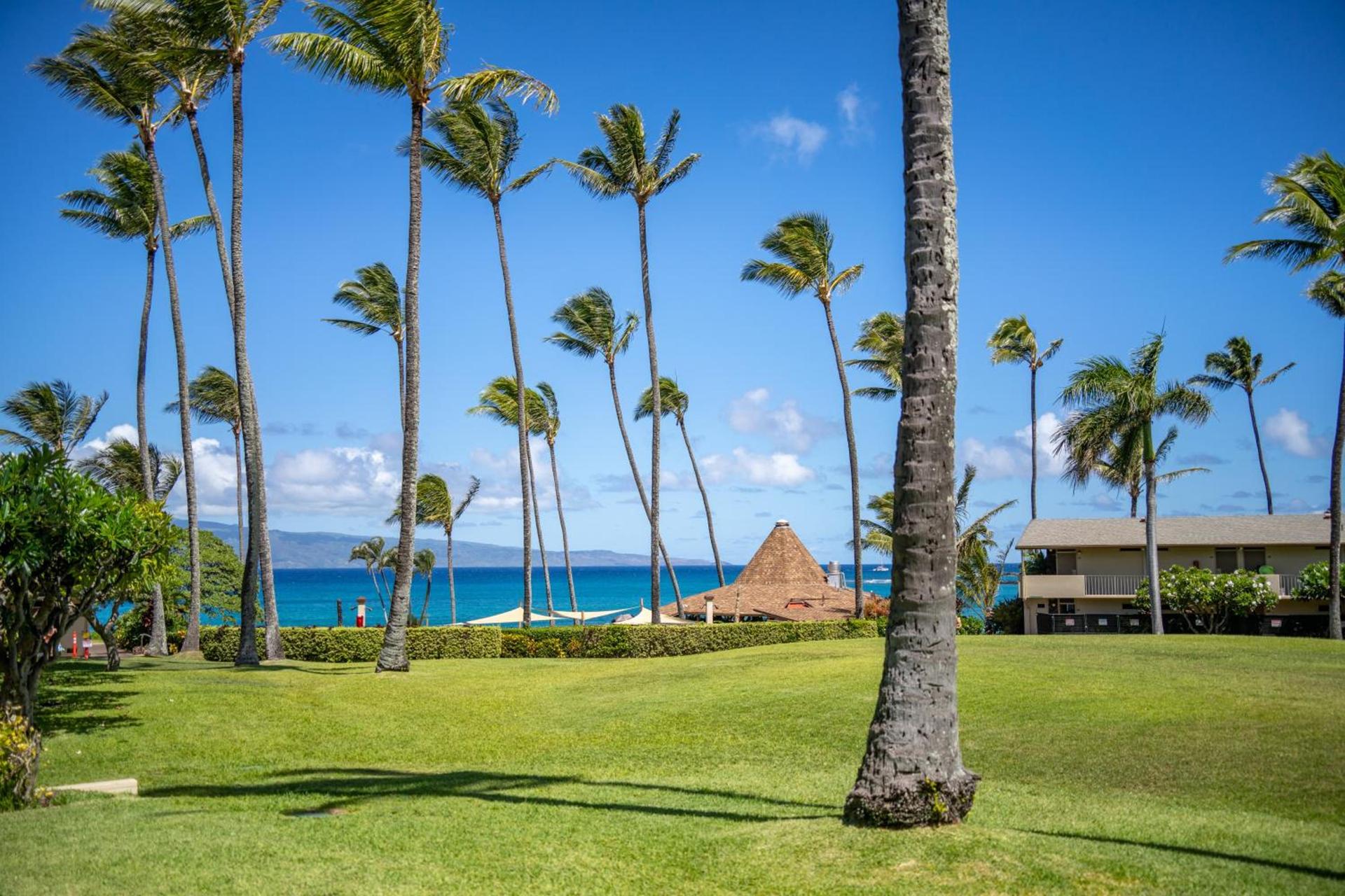Napili Shores Maui by OUTRIGGER - No Resort & Housekeeping Fees photo 28