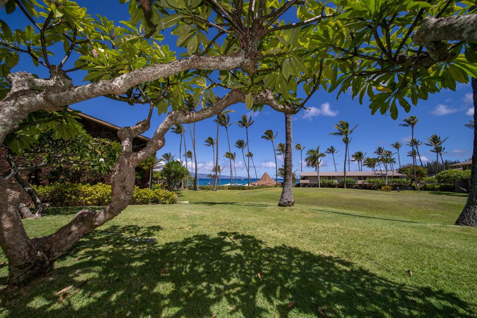 Napili Shores Maui by OUTRIGGER - No Resort & Housekeeping Fees photo 30