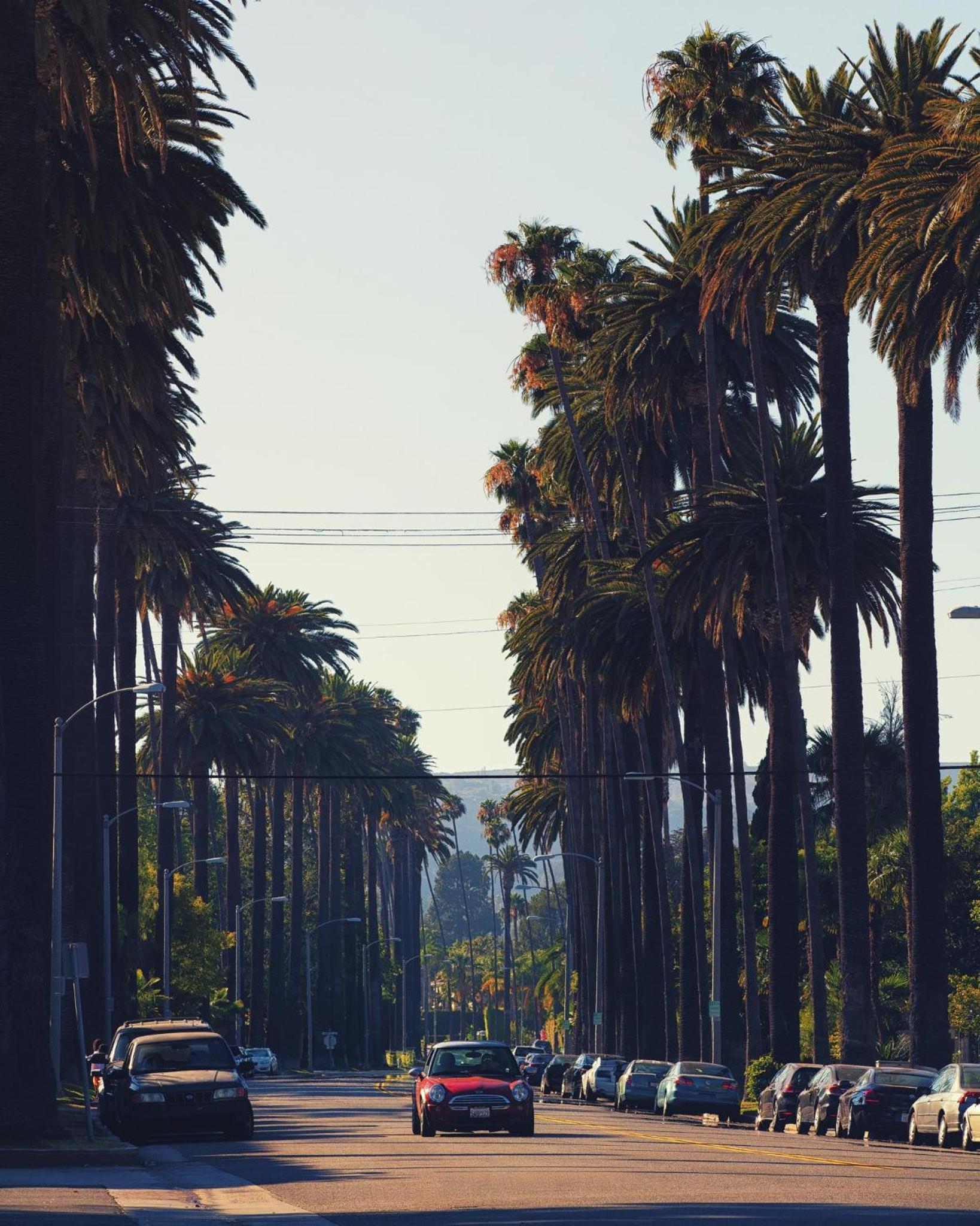 Loews Hollywood Hotel photo 75