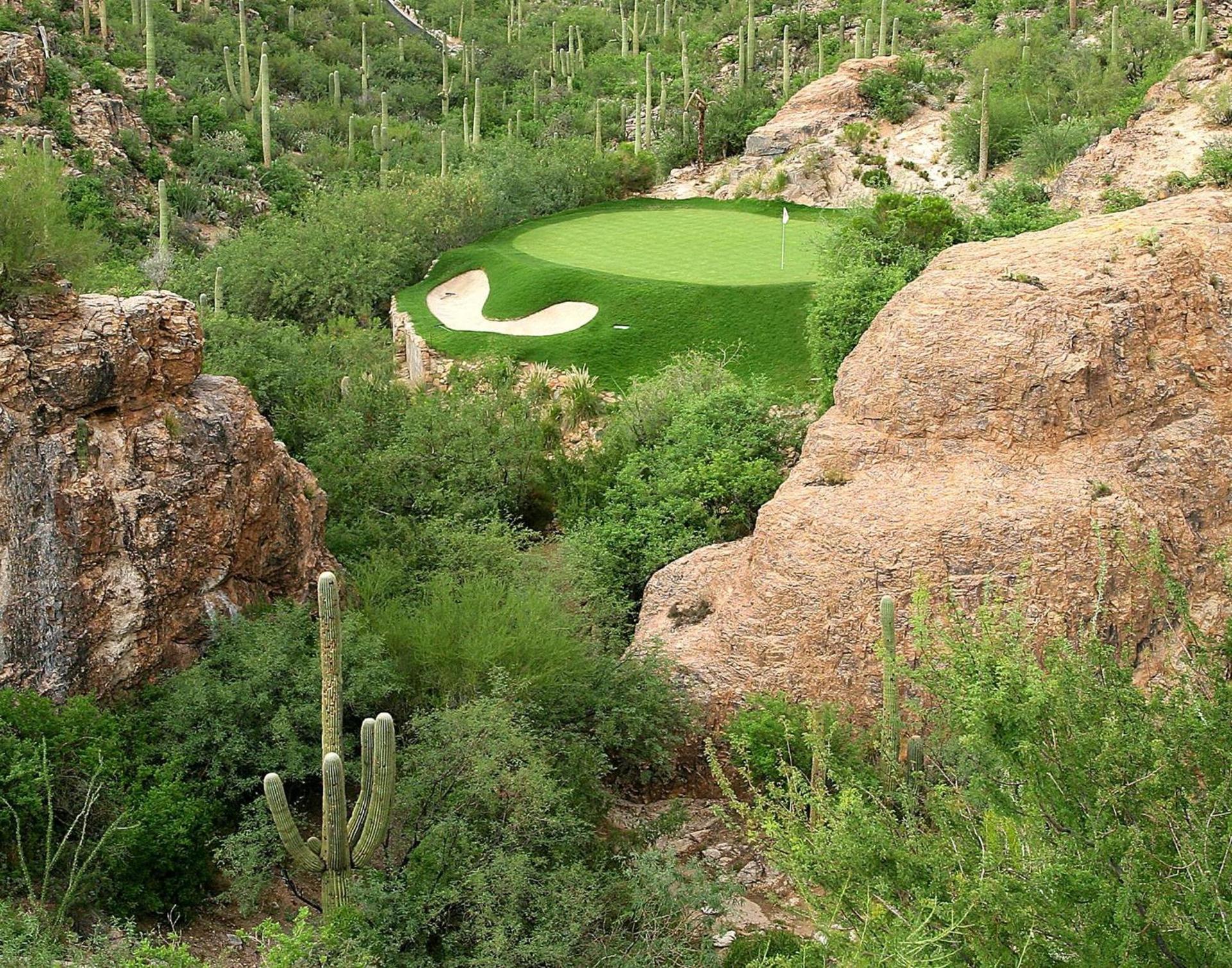 Loews Ventana Canyon Resort photo 62