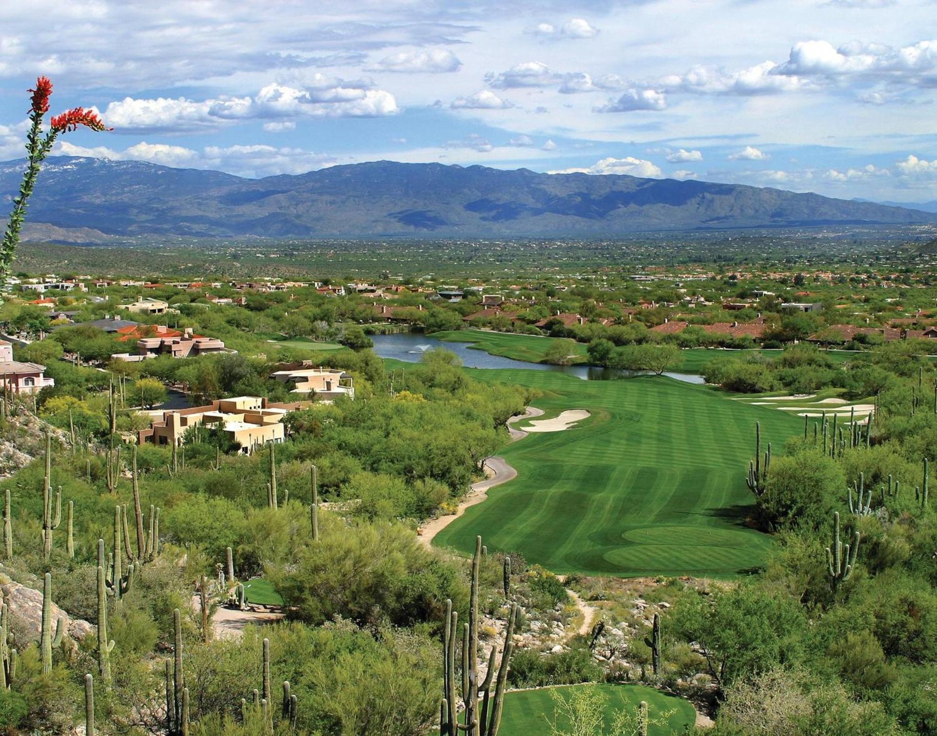 Loews Ventana Canyon Resort photo 63