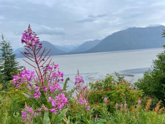 Alaska Lake + Lodge at Longmere photo 22