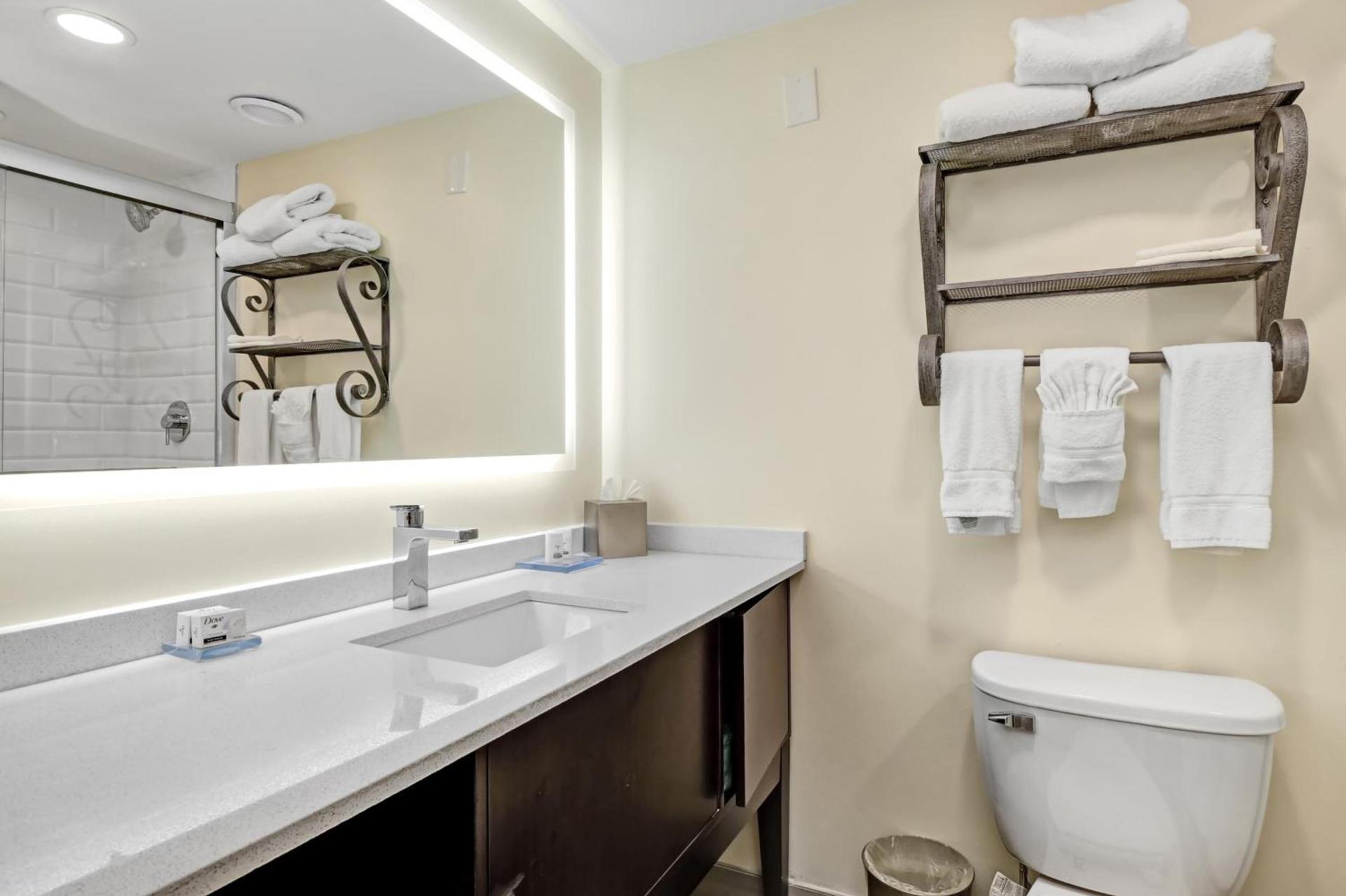 Holiday Inn - Piscataway - Somerset by IHG photo 66