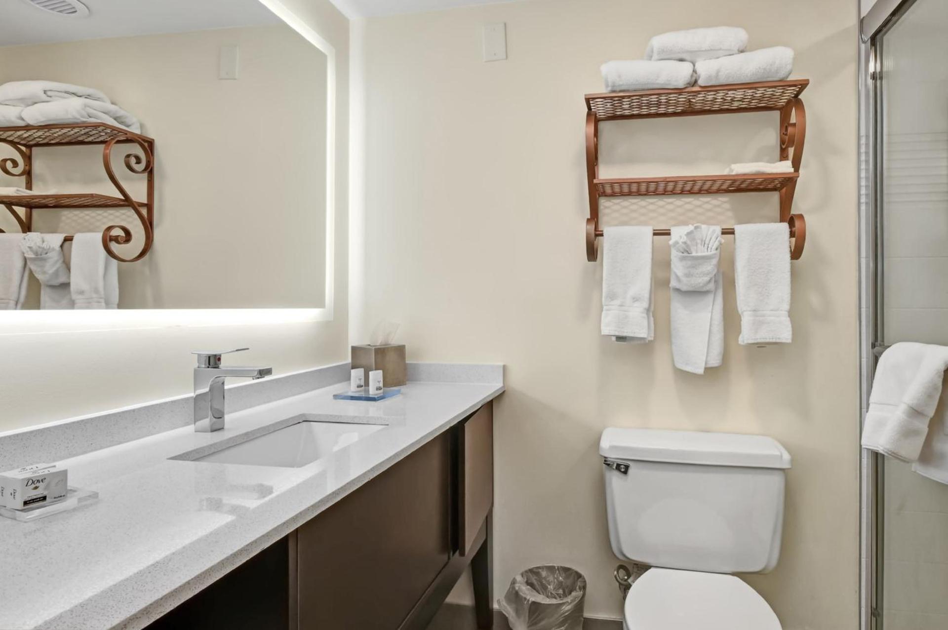 Holiday Inn - Piscataway - Somerset by IHG photo 41