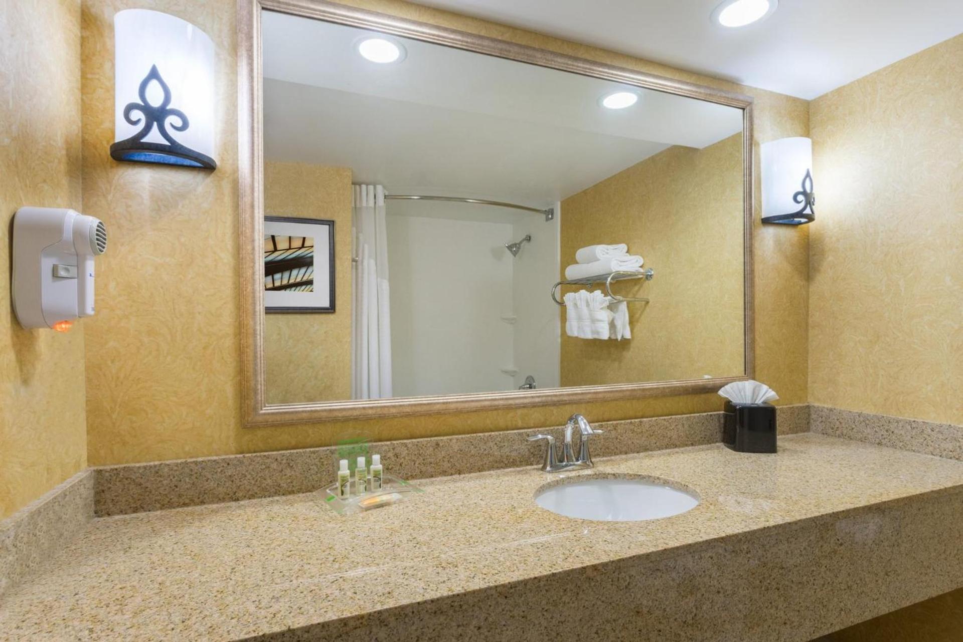 Holiday Inn Baltimore BWI Airport by IHG photo 24