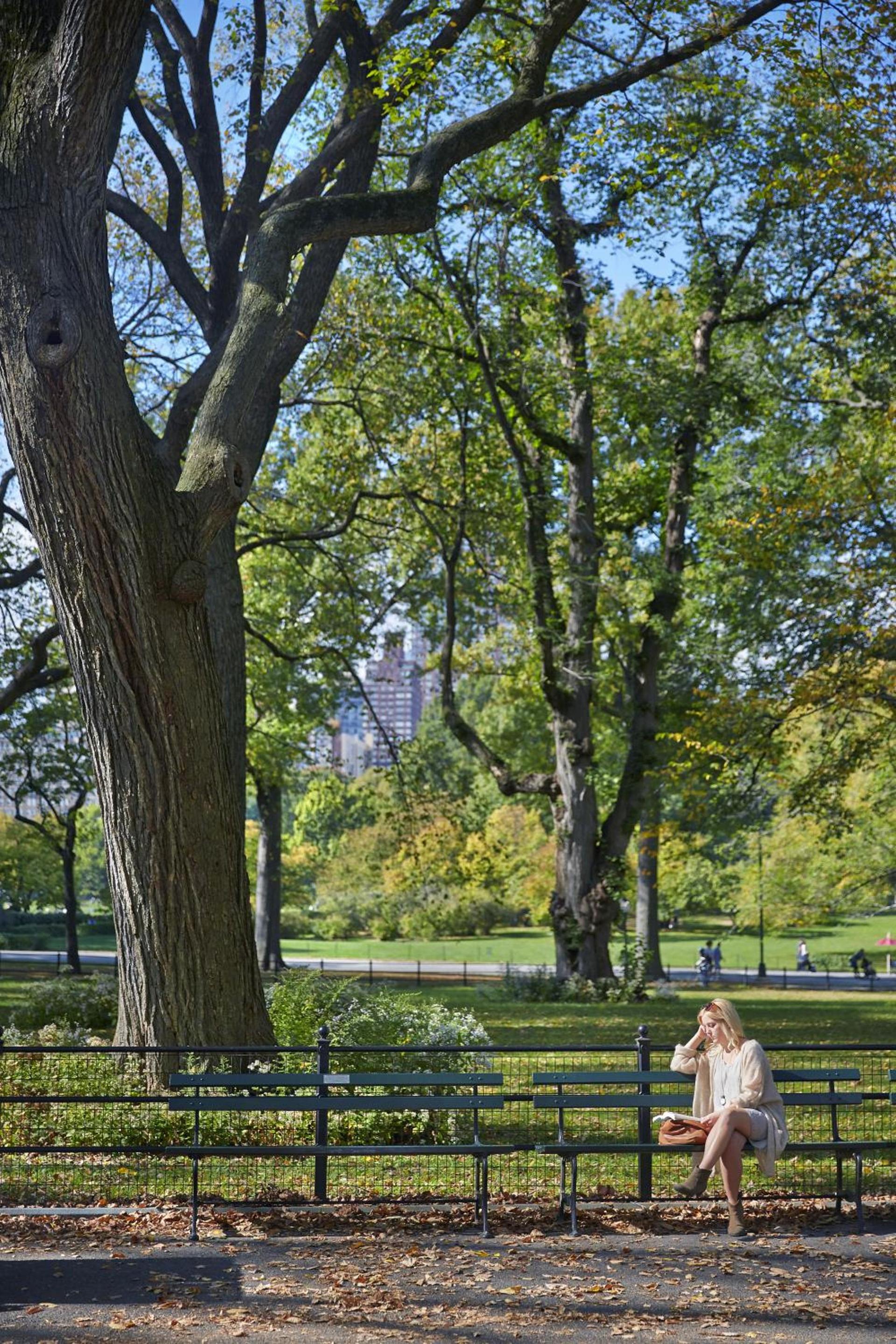 The Gardens Sonesta ES Suites New York photo 31
