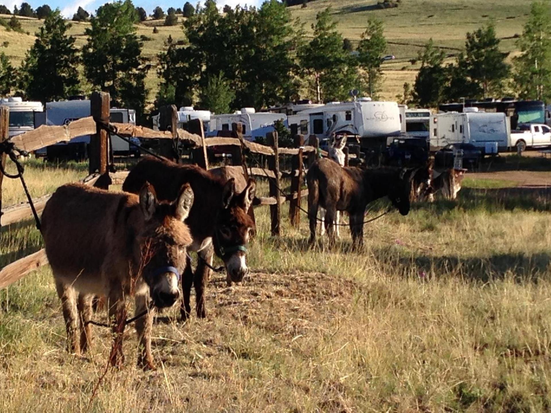 Cripple Creek Hospitality House photo 34