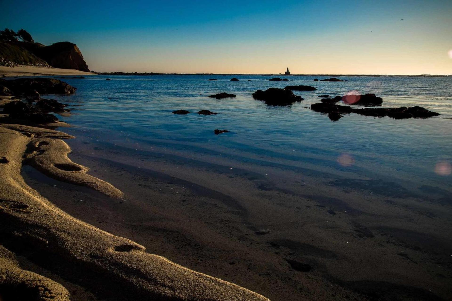 Seal Cove Inn photo 23