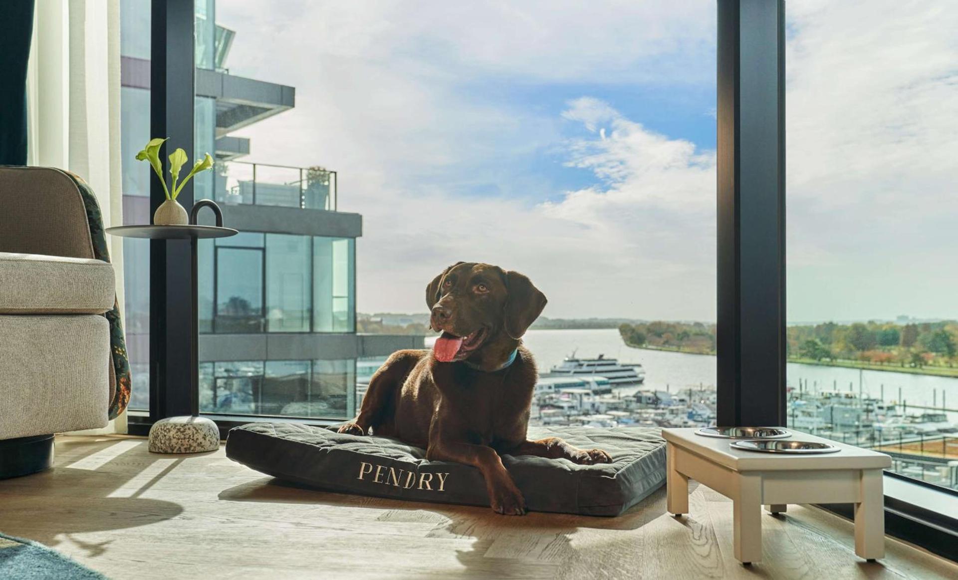 Pendry Washington DC - The Wharf photo 77