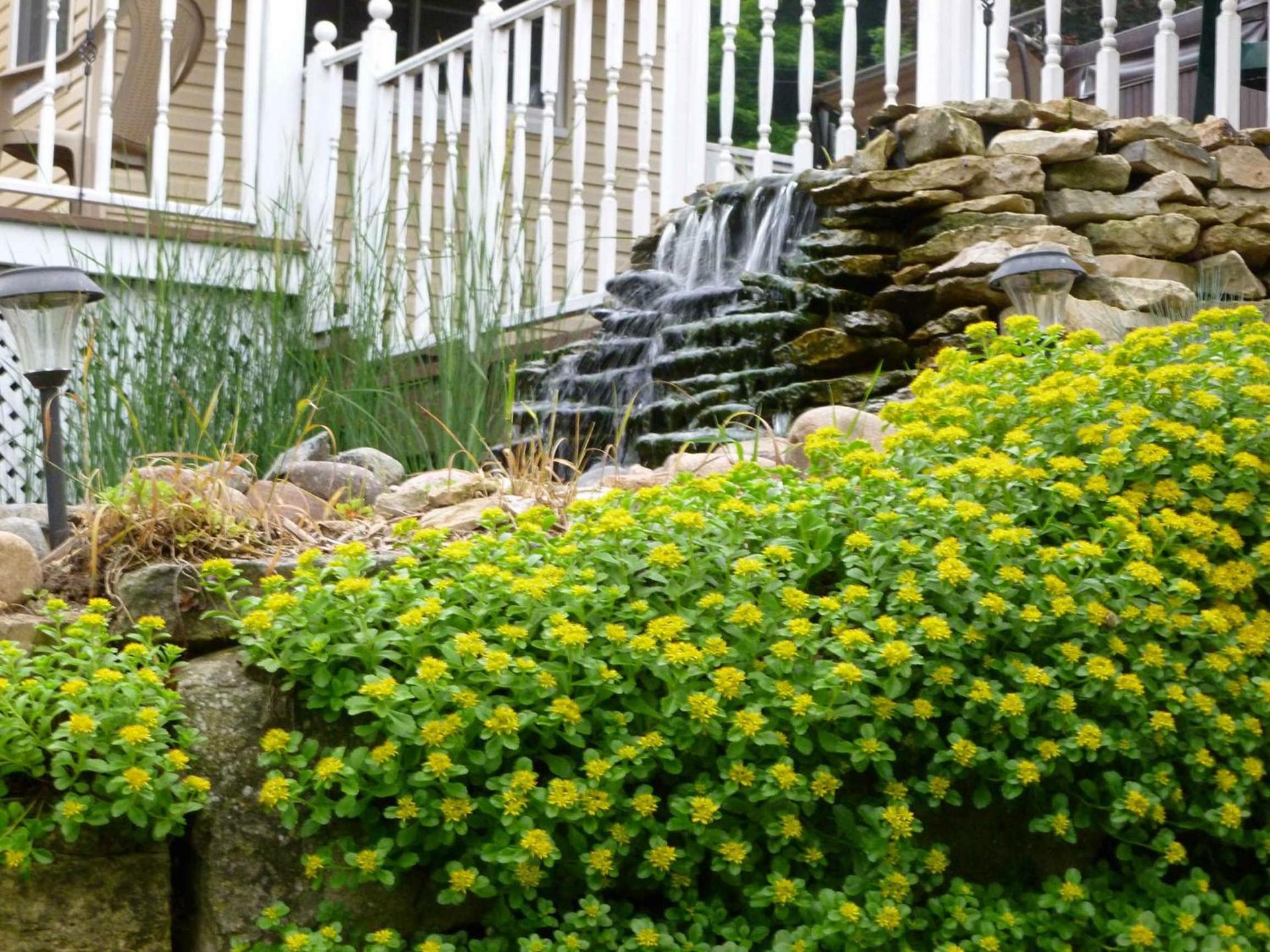 Trickling Waters Retreat photo 2